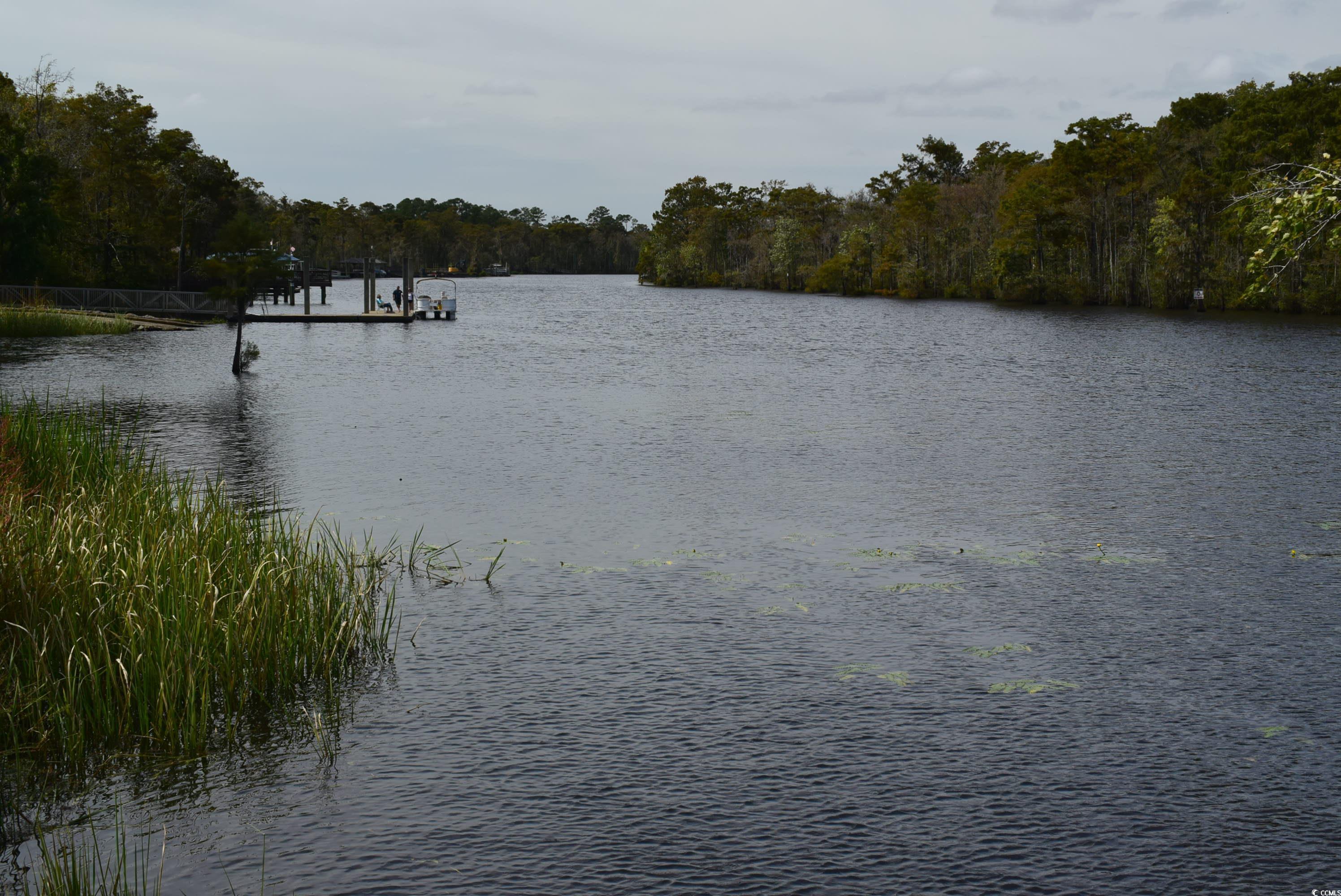 216 Rose Water Loop Property Photo 31