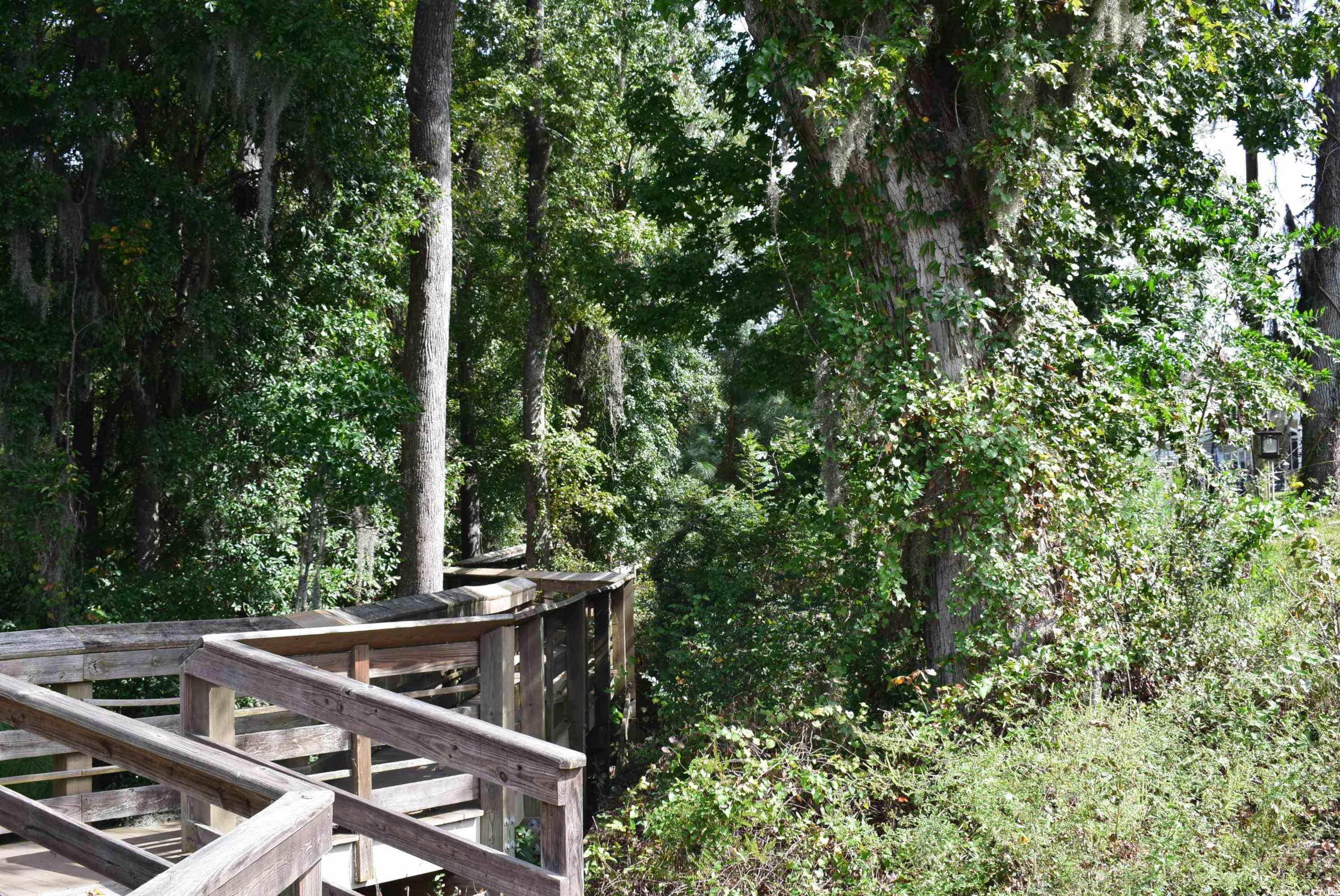 216 Rose Water Loop Property Photo 34