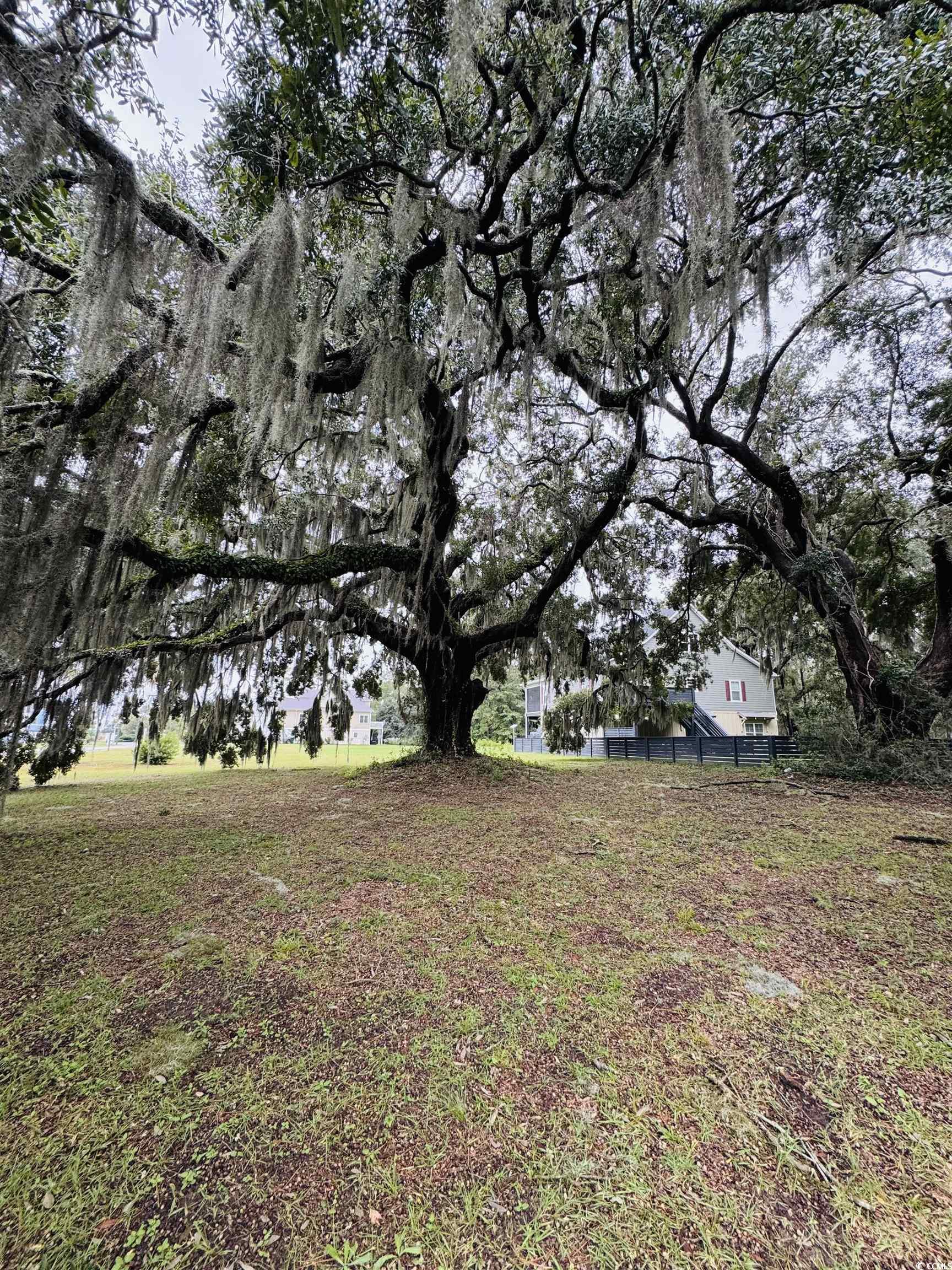 Lot 50 Oak Bay Dr. Property Photo 4