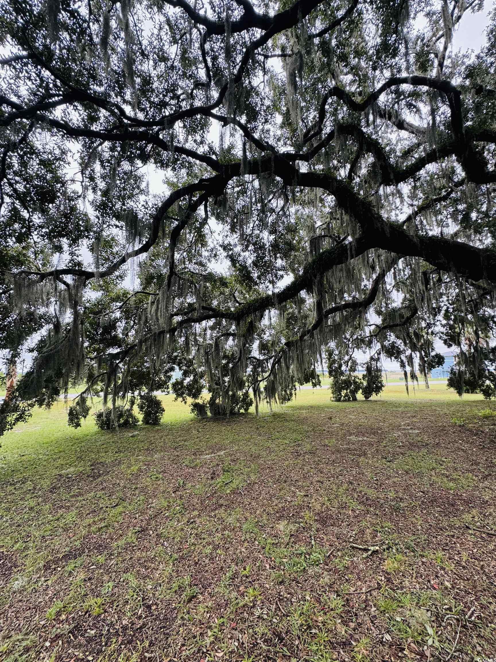 Lot 50 Oak Bay Dr. Property Photo 24