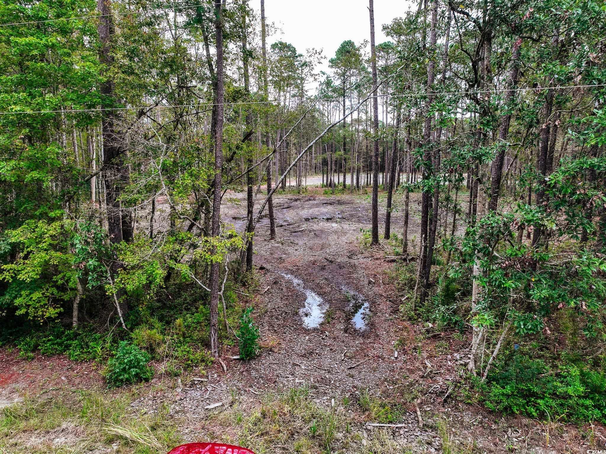 2997 Highway 50