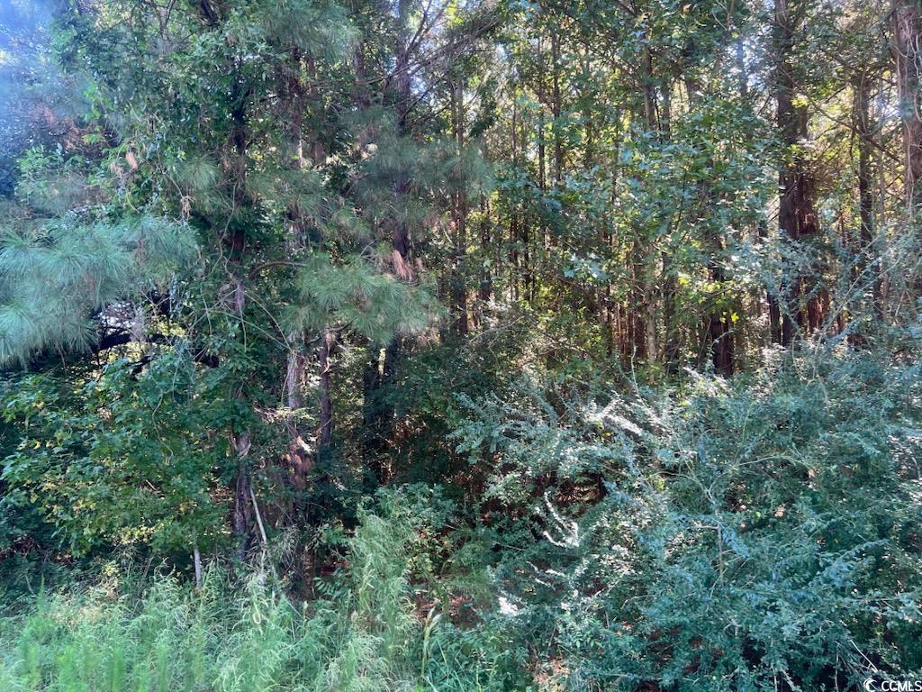 Tbd Mill Berry Ln. Property Photo 1
