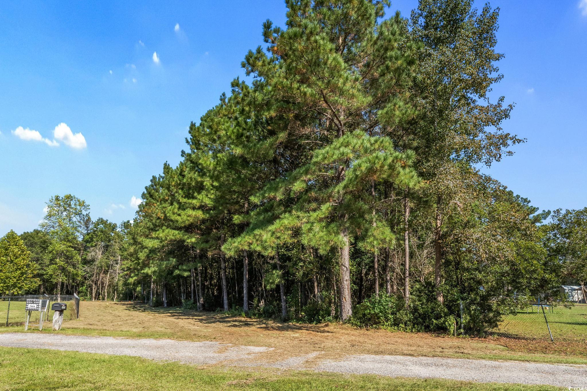 Tbd Highway 472 Property Photo 3