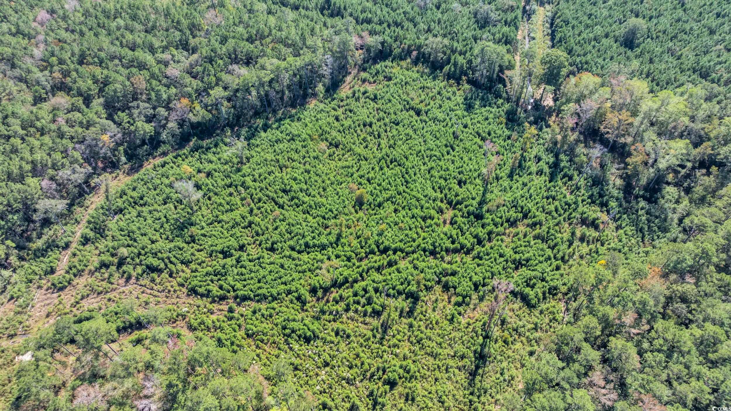Tbd Not Specified Property Photo 5