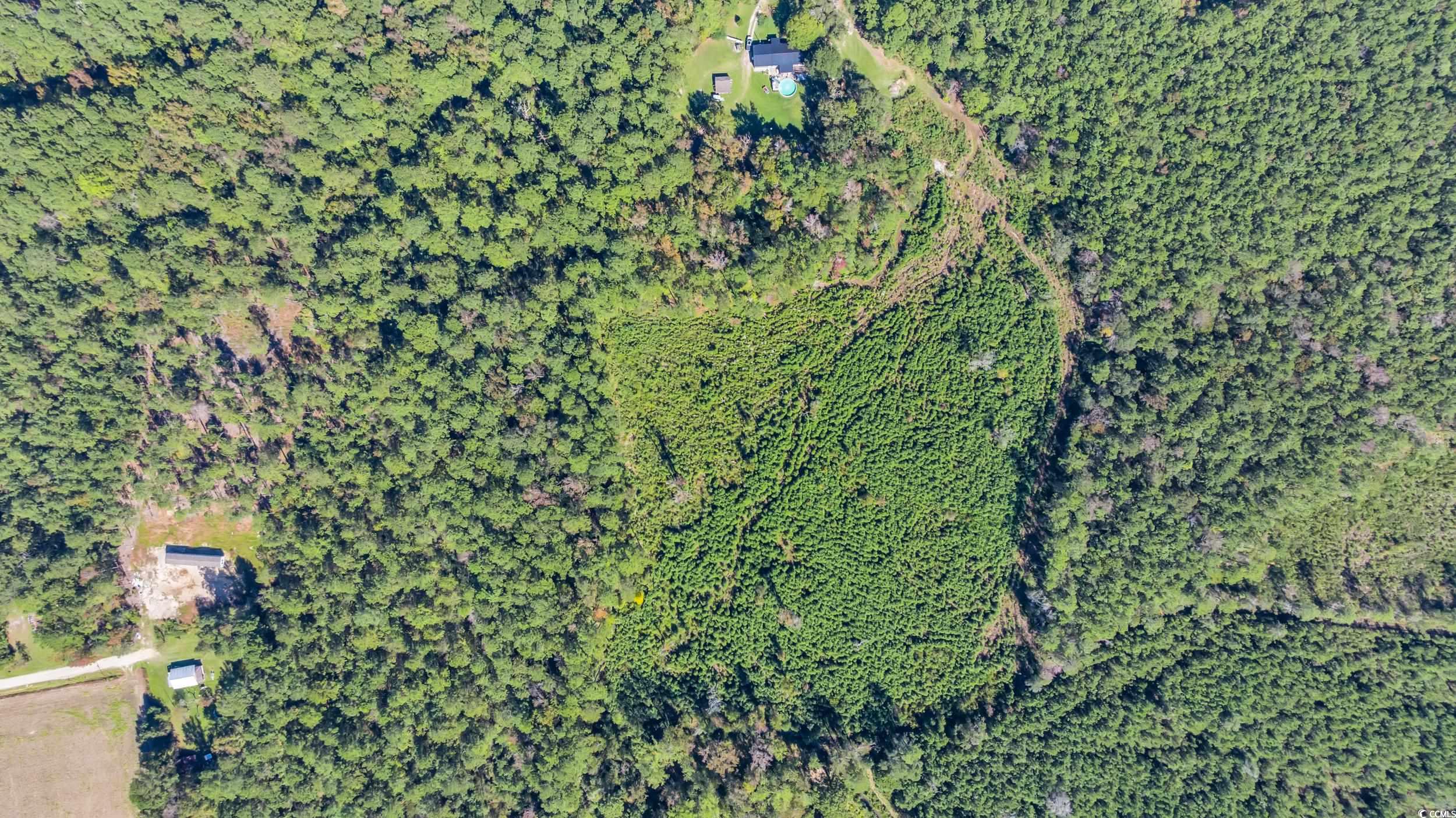 Tbd Not Specified Property Photo 6