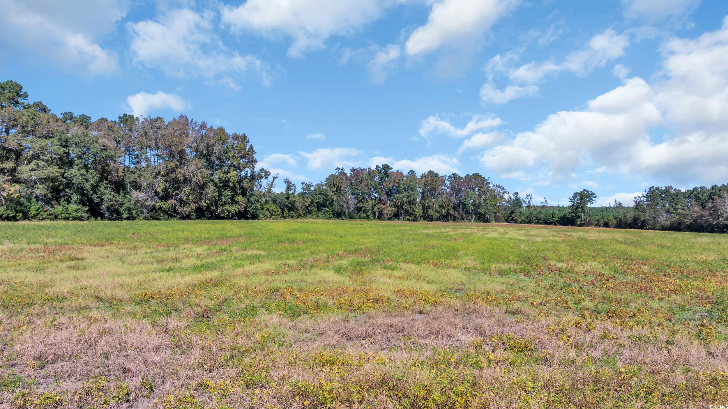 Tbd Not Specified Property Photo 16