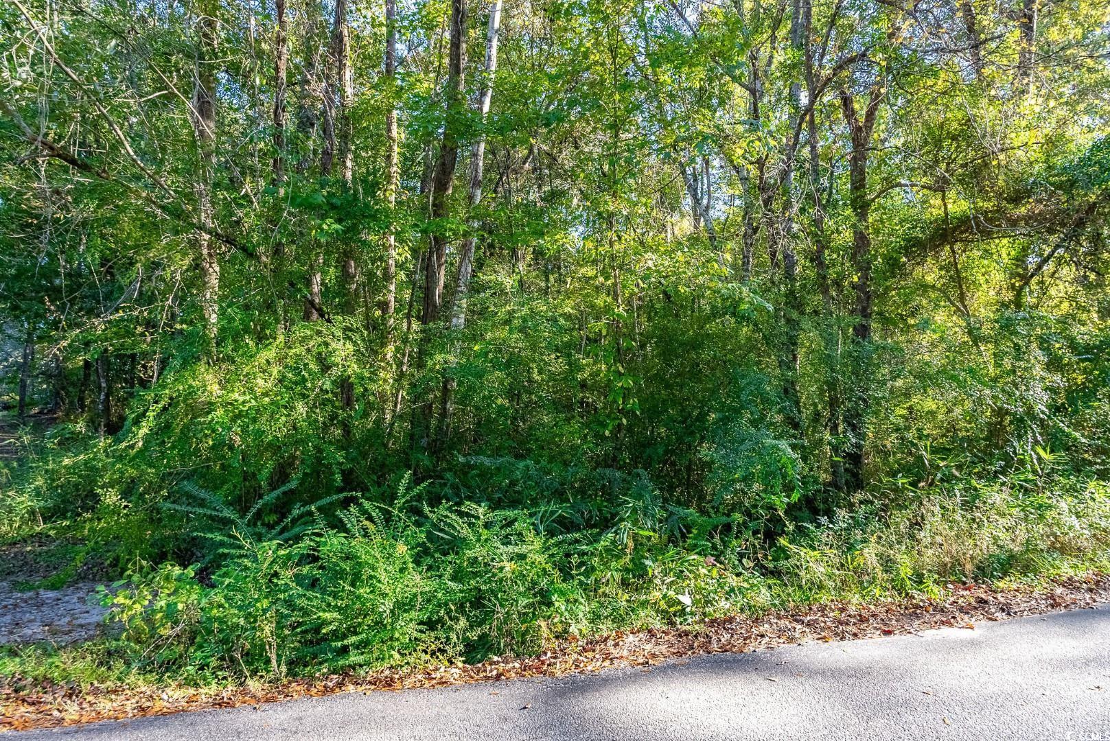 Tbd Barnes Rd. Property Photo 12