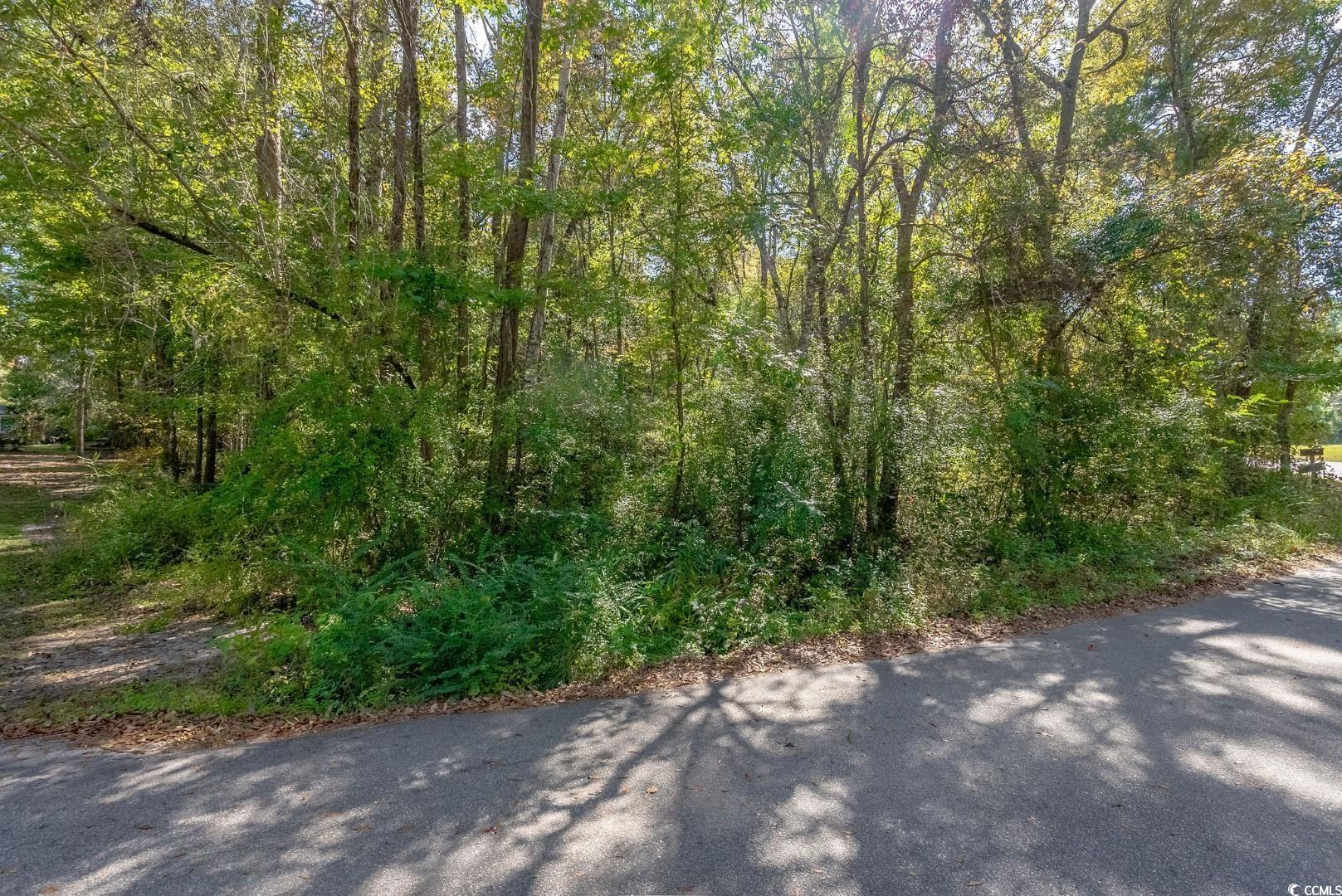 Tbd Barnes Rd. Property Photo 16