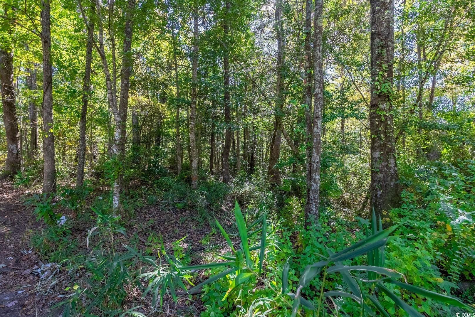 Tbd Barnes Rd. Property Photo 17