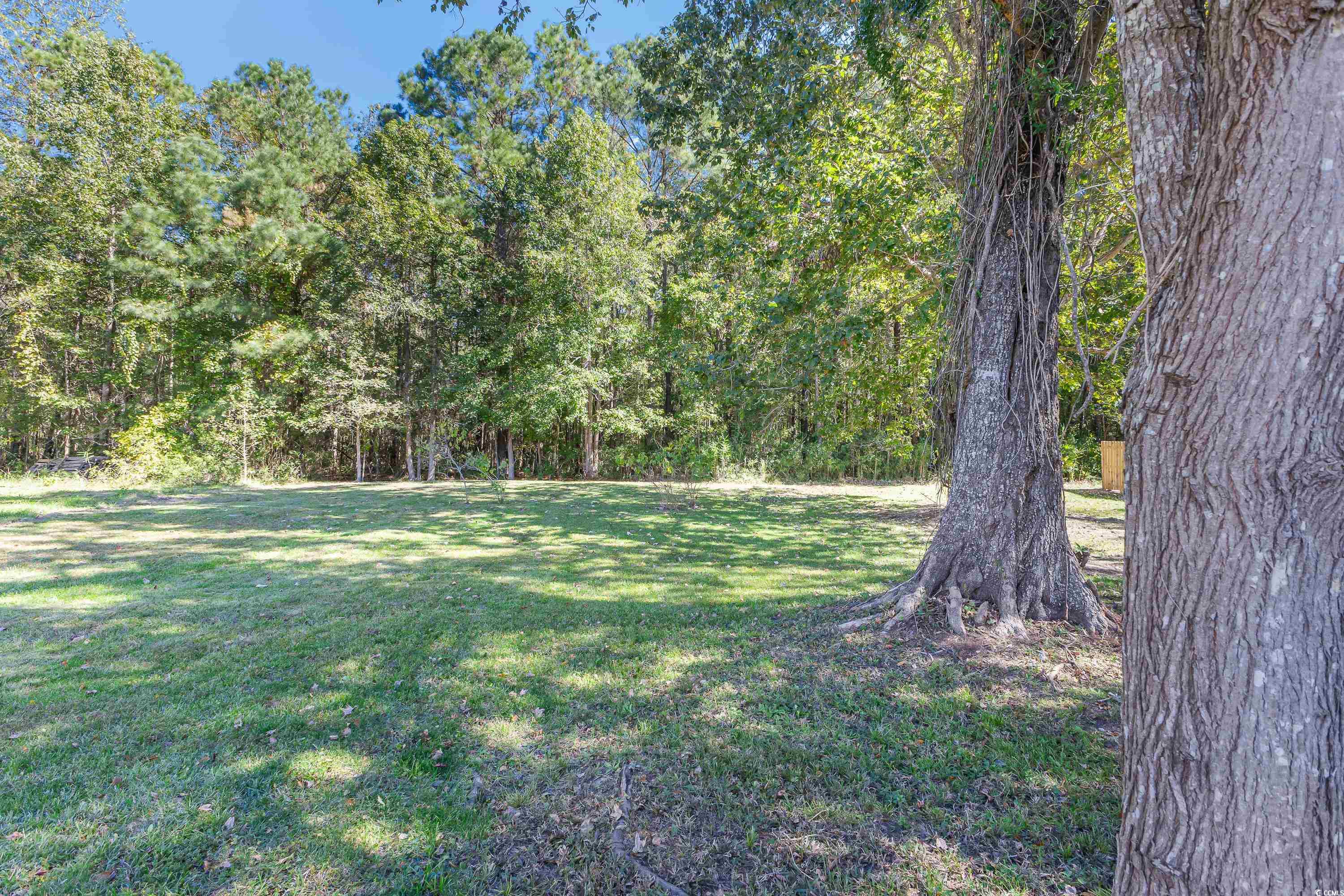 101 Shamrock Dr. Property Photo 31