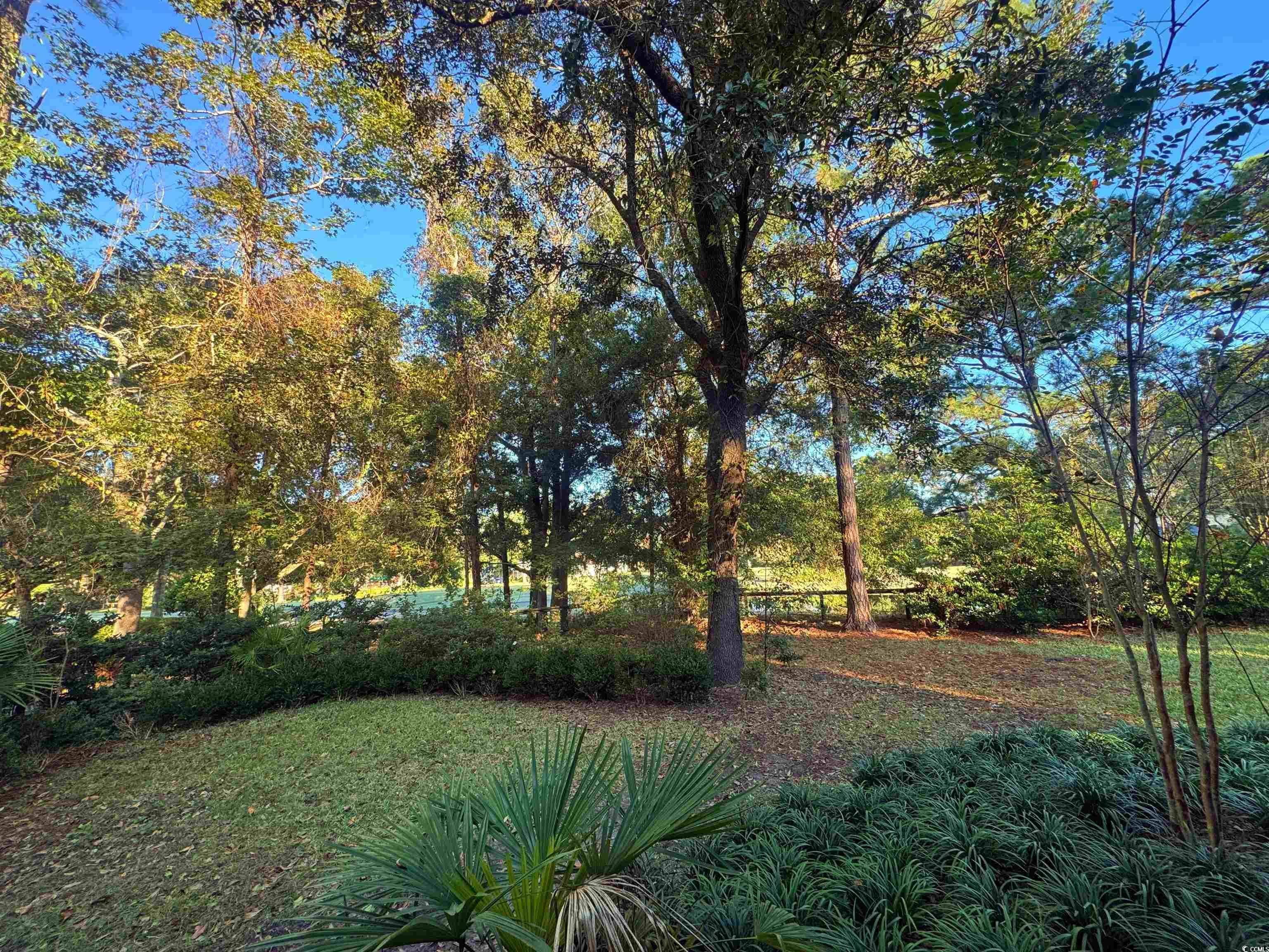 133 Goodson Loop Property Photo 33