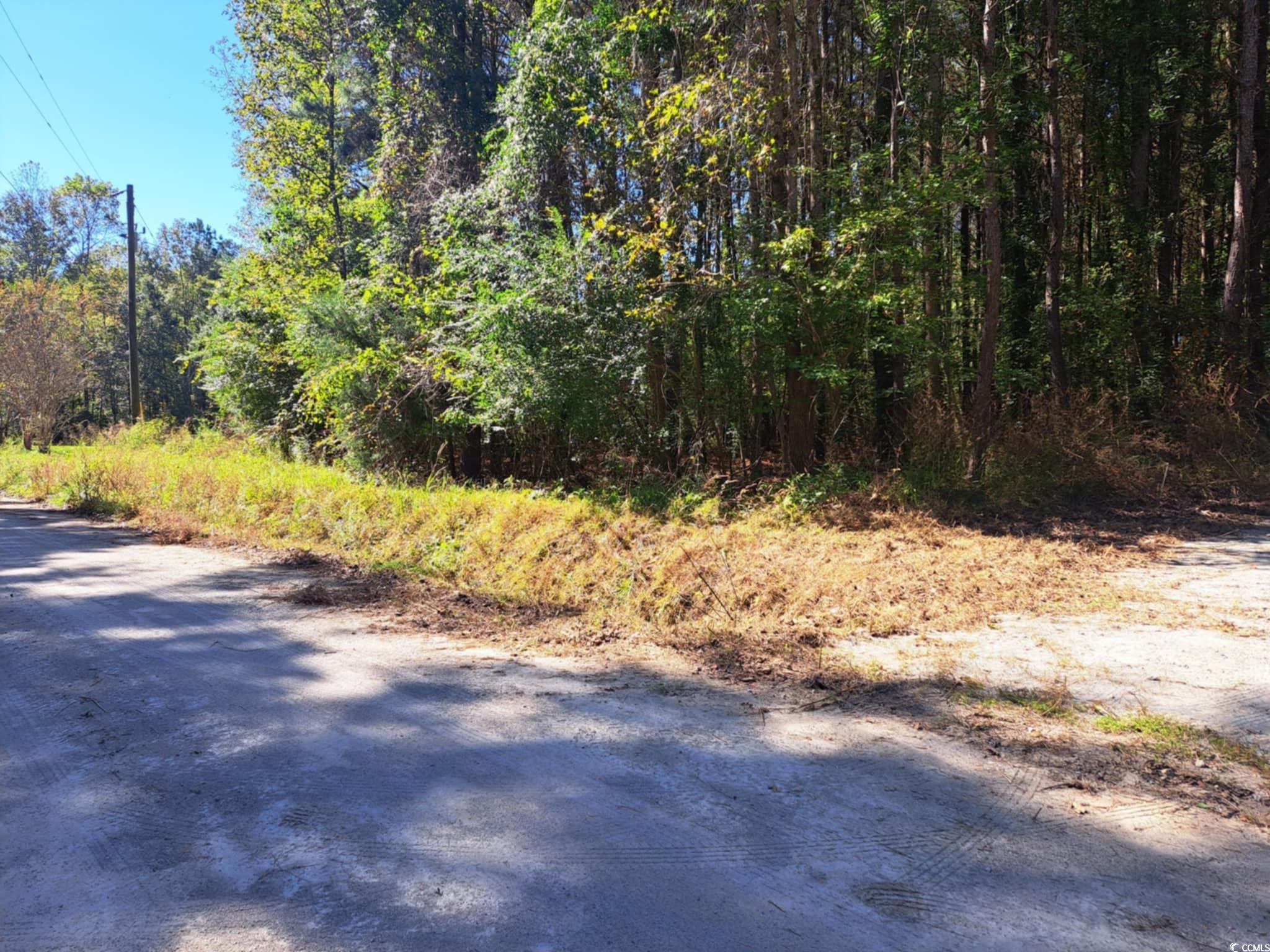 Tbd Southfork Rd. Property Photo 3
