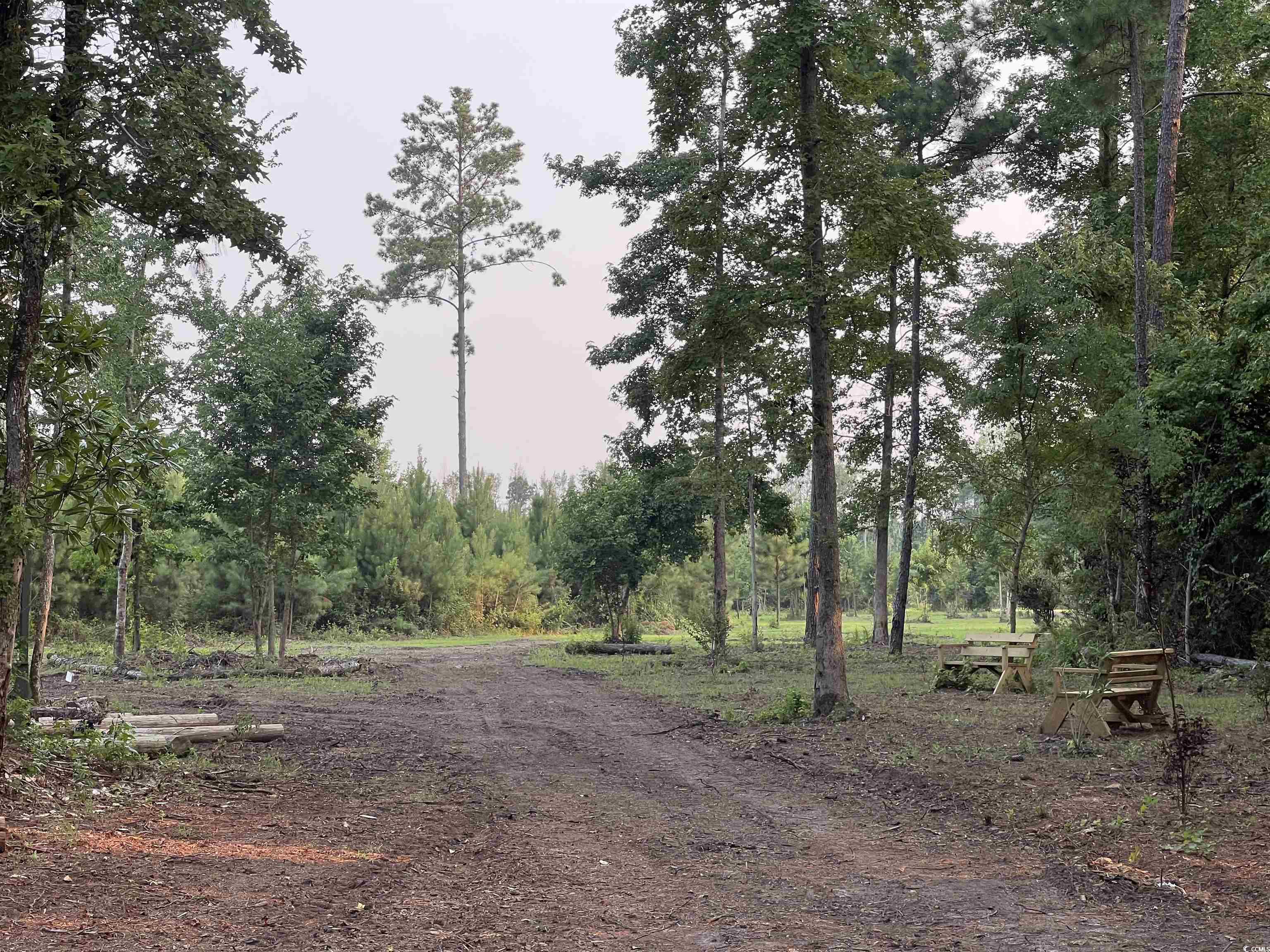 5241 Cates Bay Hwy. Property Photo 11