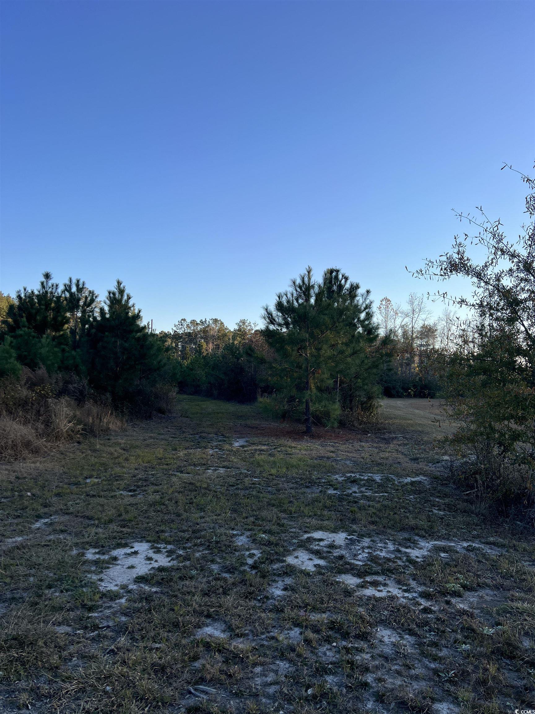 5241 Cates Bay Hwy. Property Photo 17