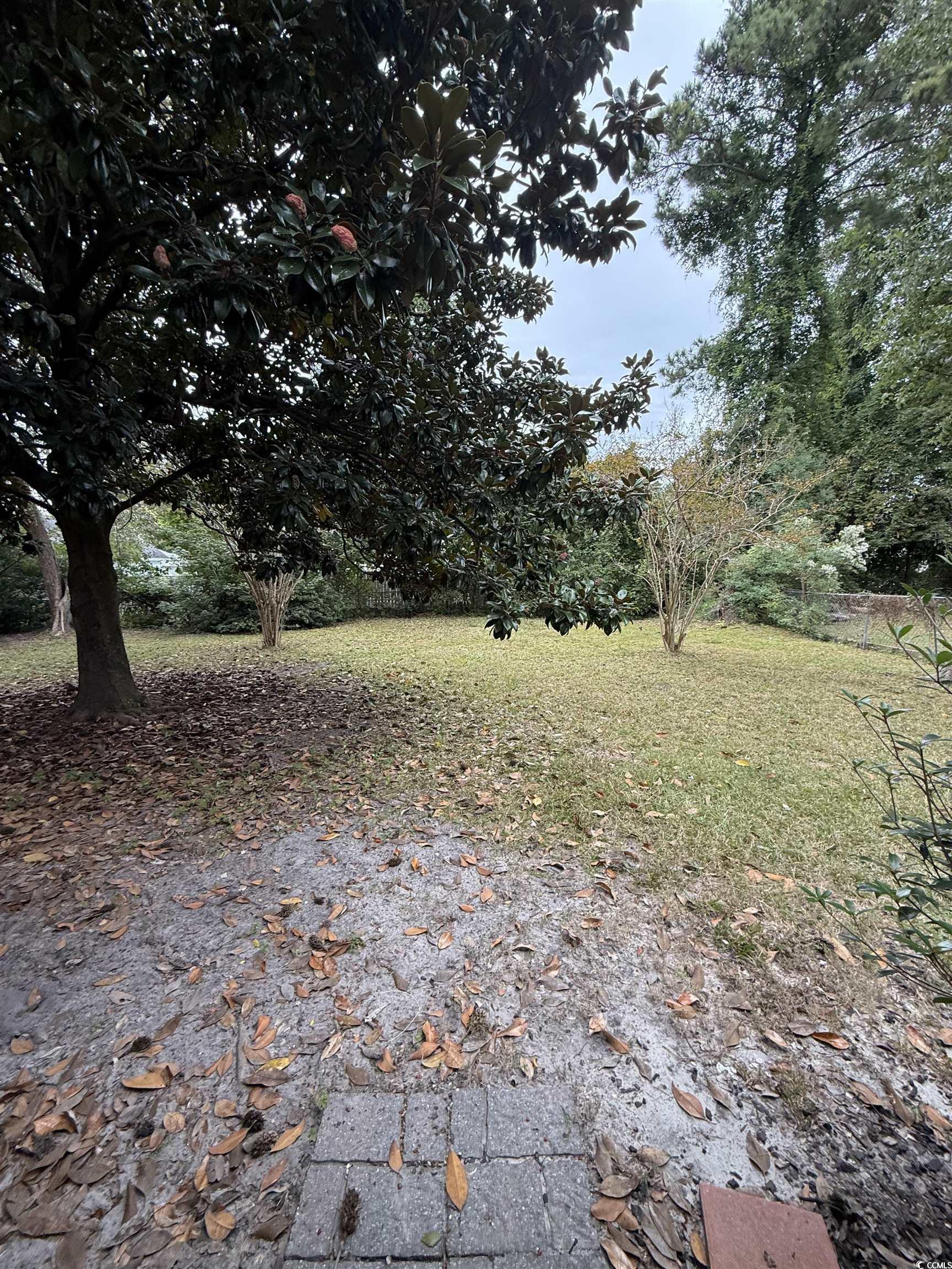 110 Misty Pine Dr. Property Photo 11