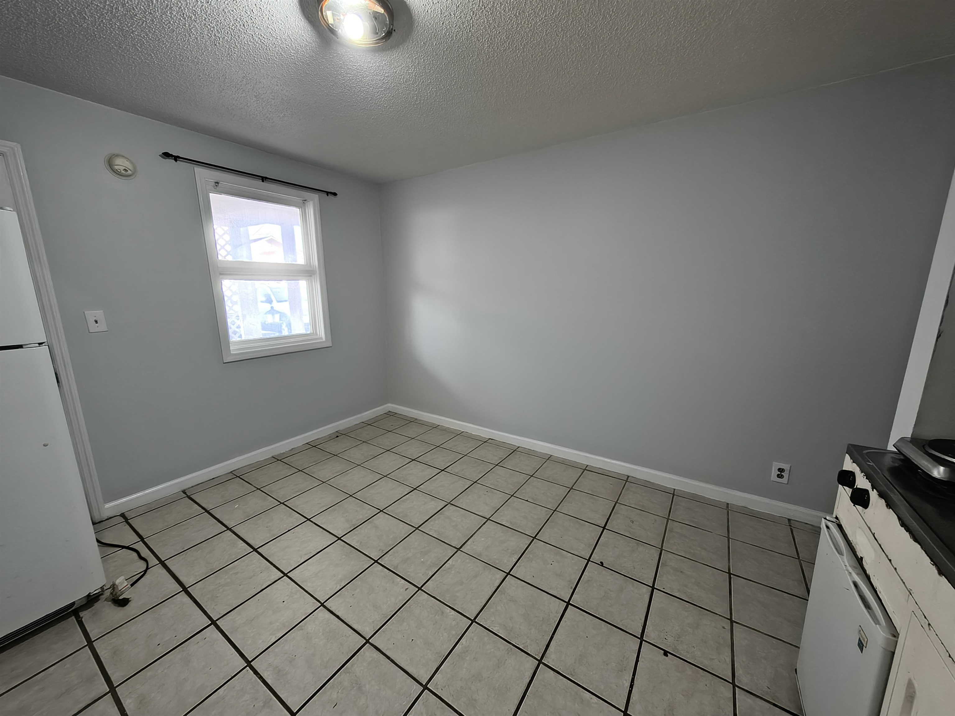 307 Flagg St. Property Photo 17