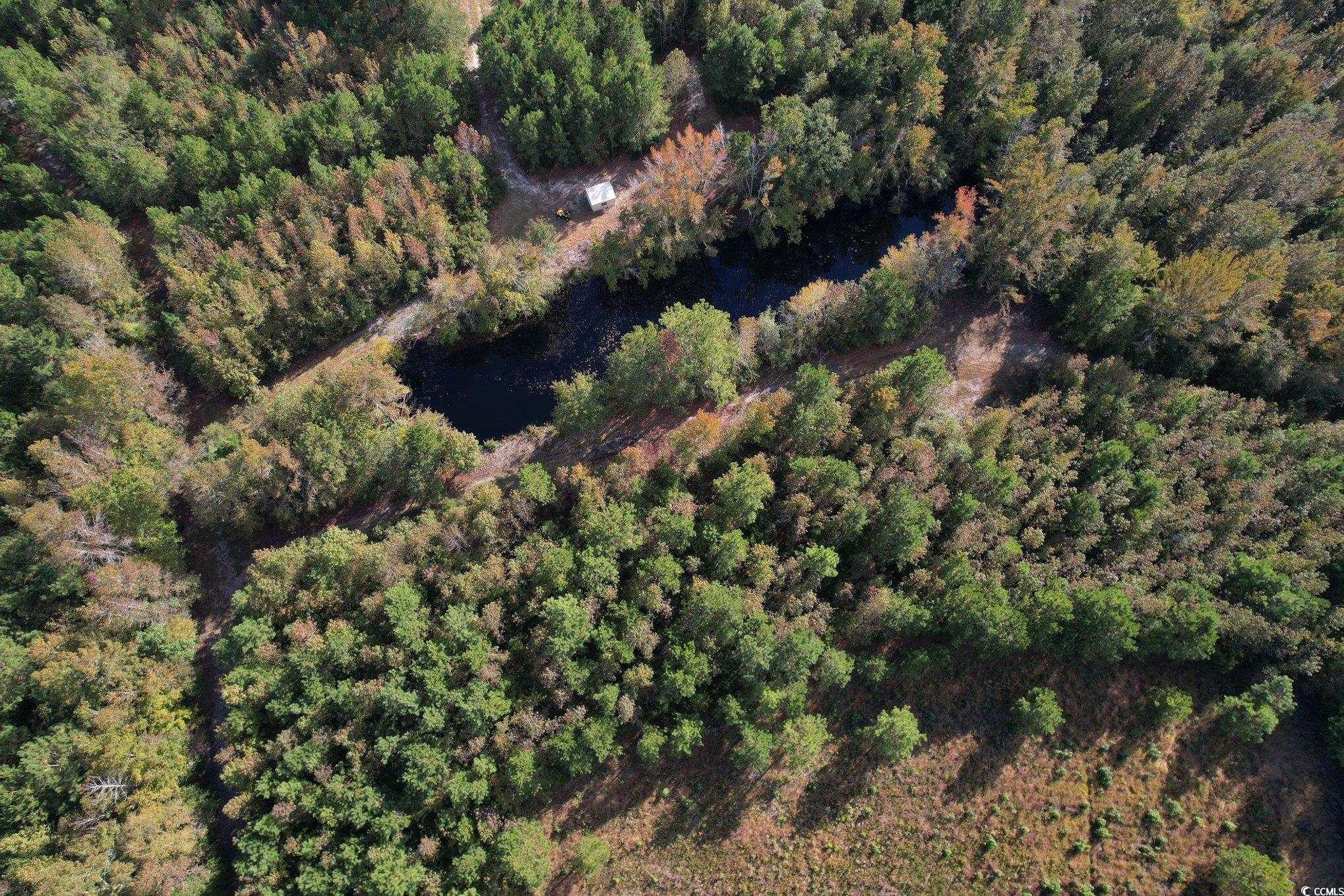 Tbd Sand Plant Rd. Property Photo 6
