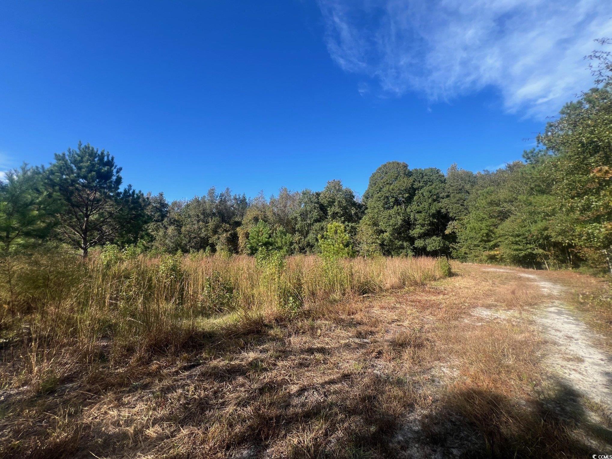 Tbd Sand Plant Rd. Property Photo 15