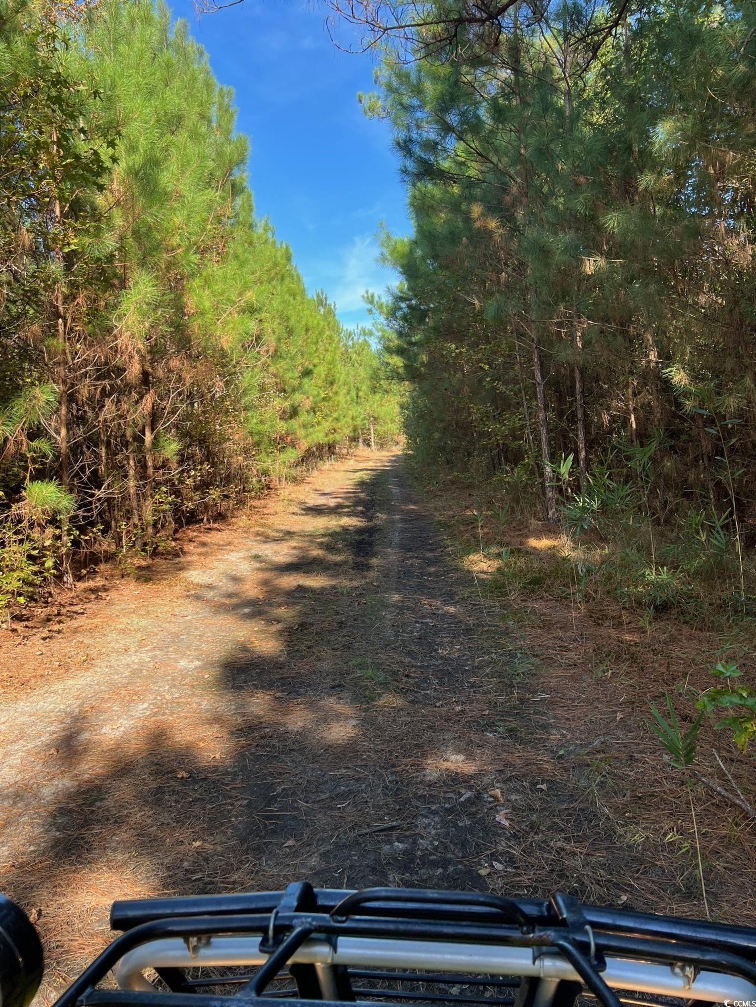 Tbd Sand Plant Rd. Property Photo 27