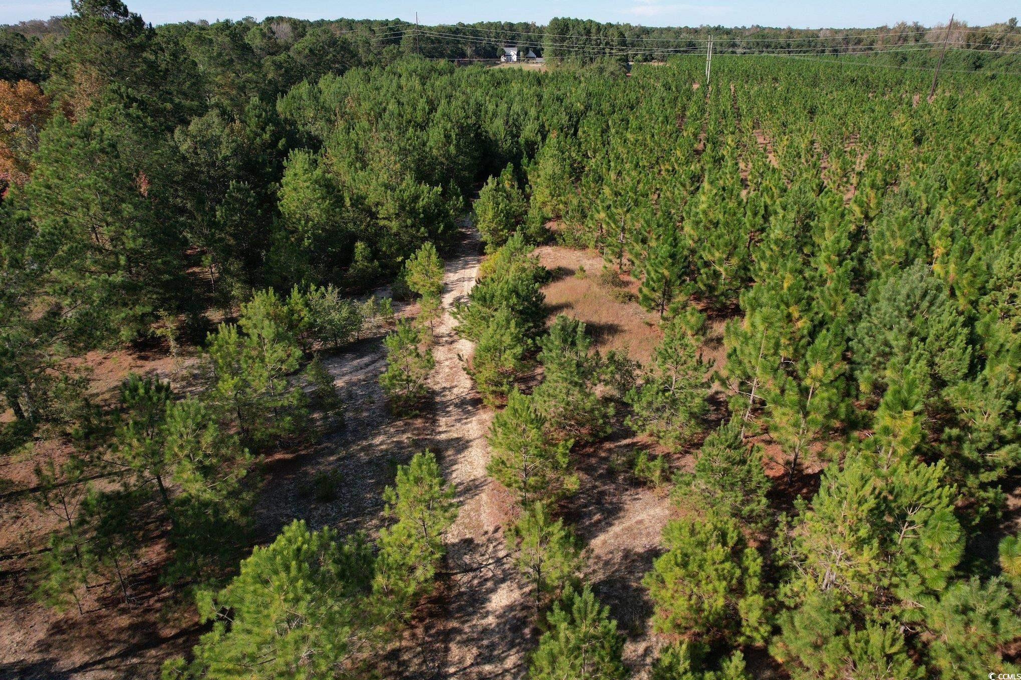 Tbd Sand Plant Rd. Property Photo 31