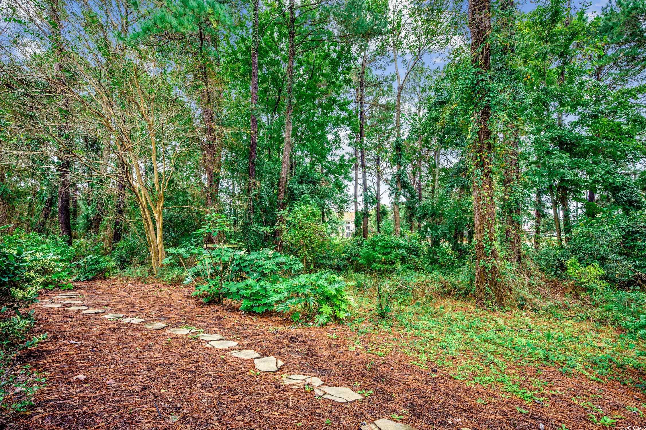 2450 Marsh Glen Dr. Property Photo 30