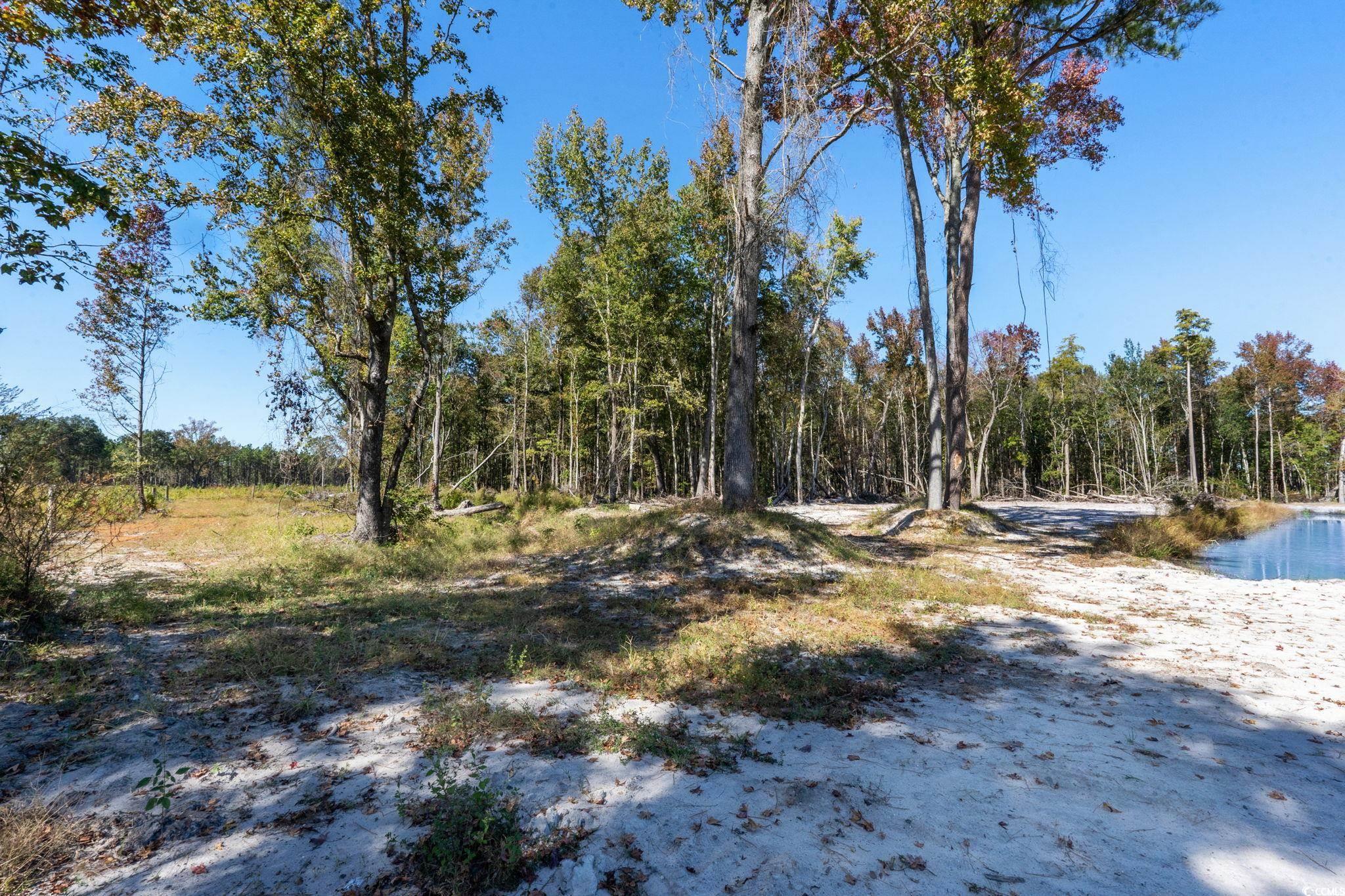 Tbd Old Ebenezer Rd. Property Photo 10