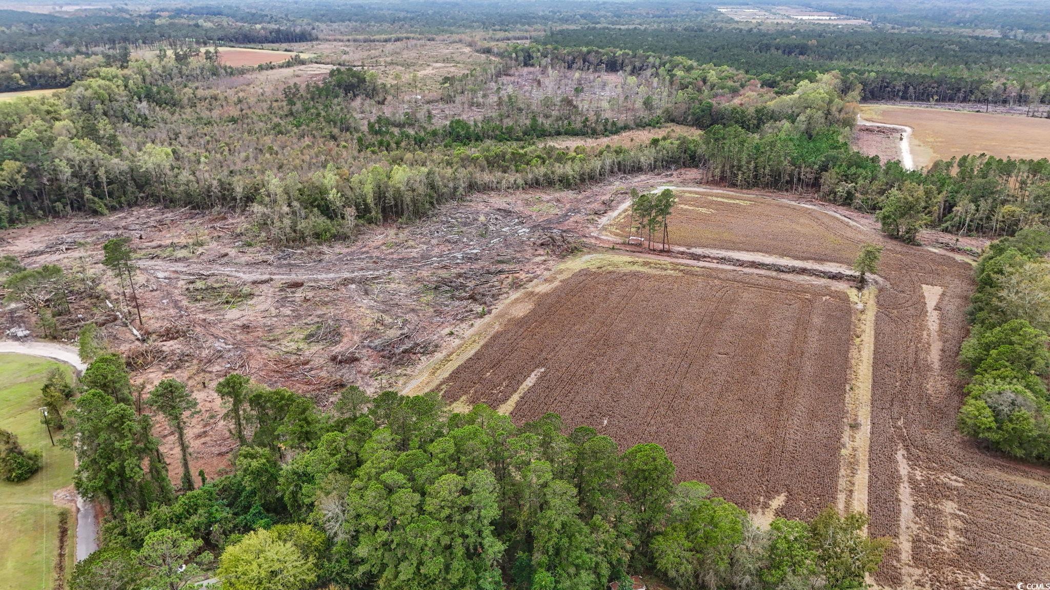 Tbd Francis Gibson Rd. Property Photo 11