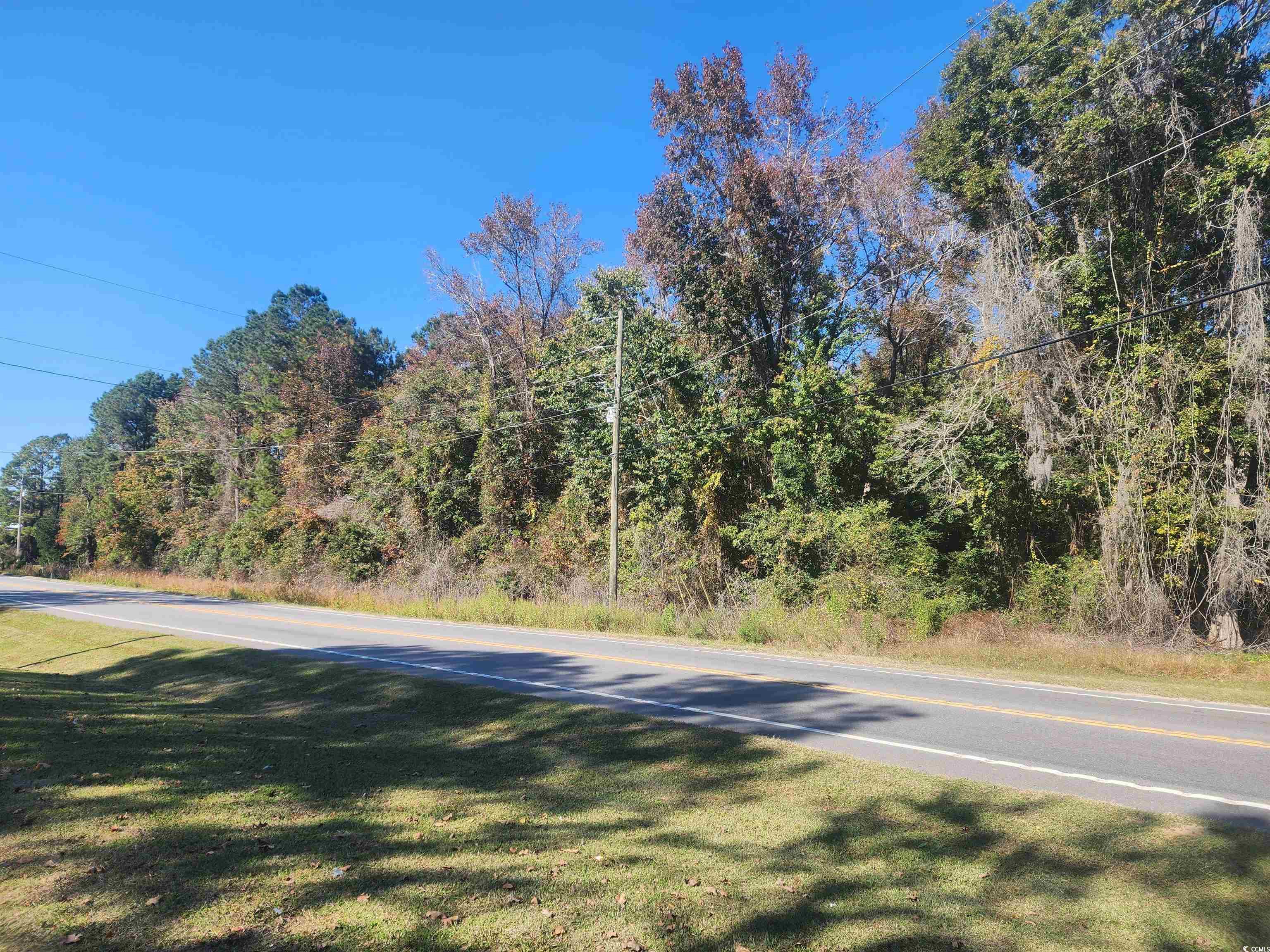 Tbd1000 Highway 90 Property Photo 2