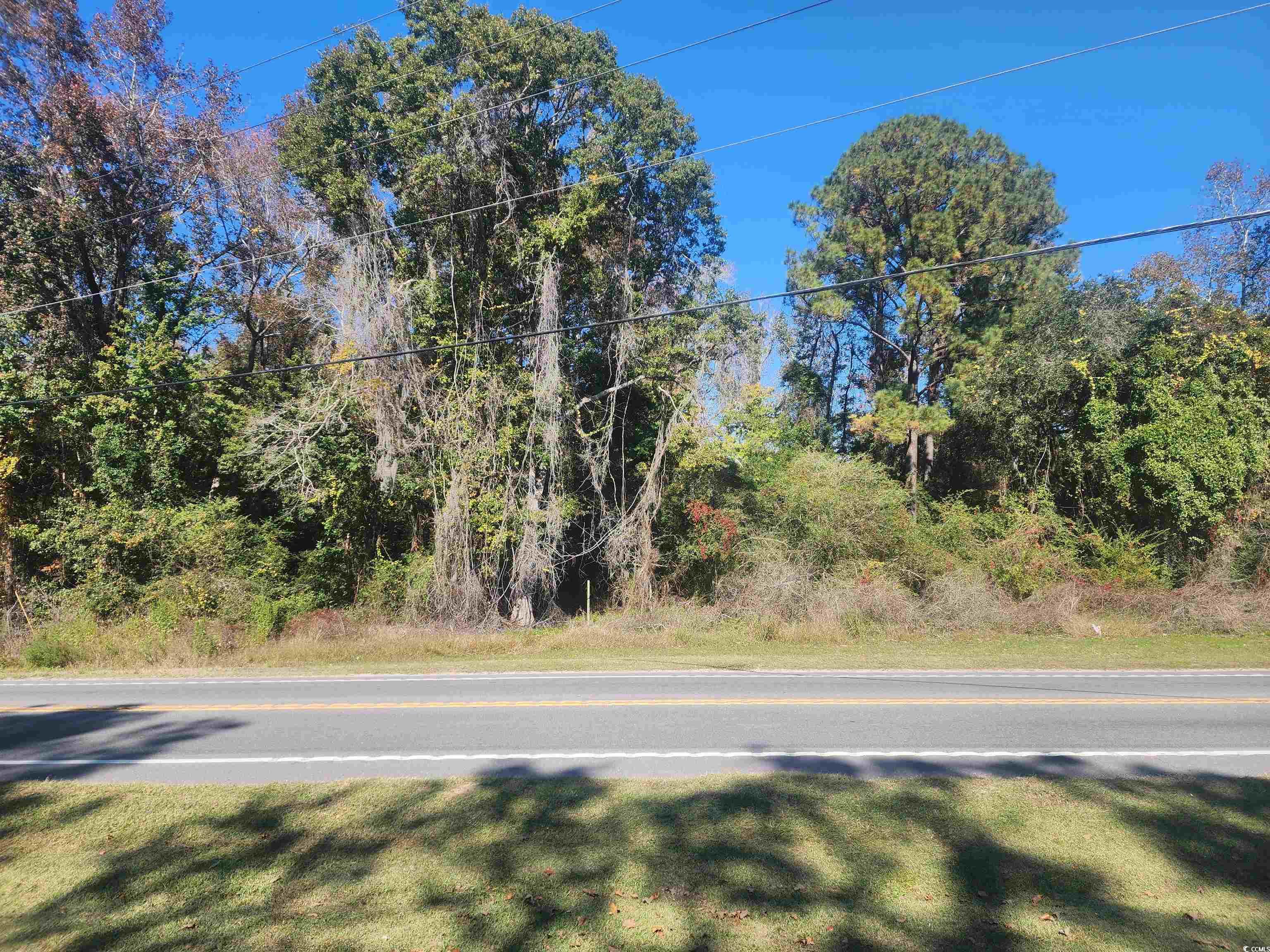 Tbd1000 Highway 90 Property Photo 3