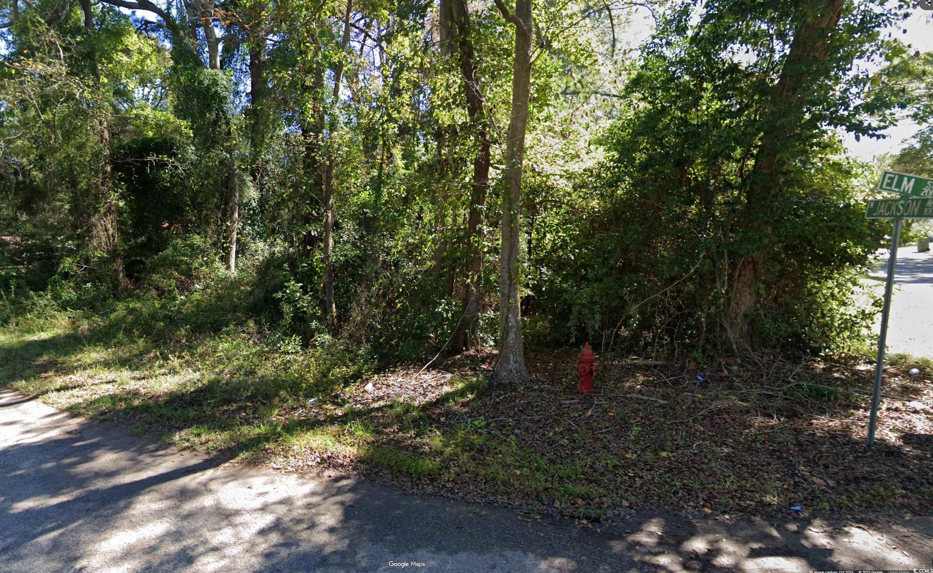 Tbd Elm St. Property Photo 1