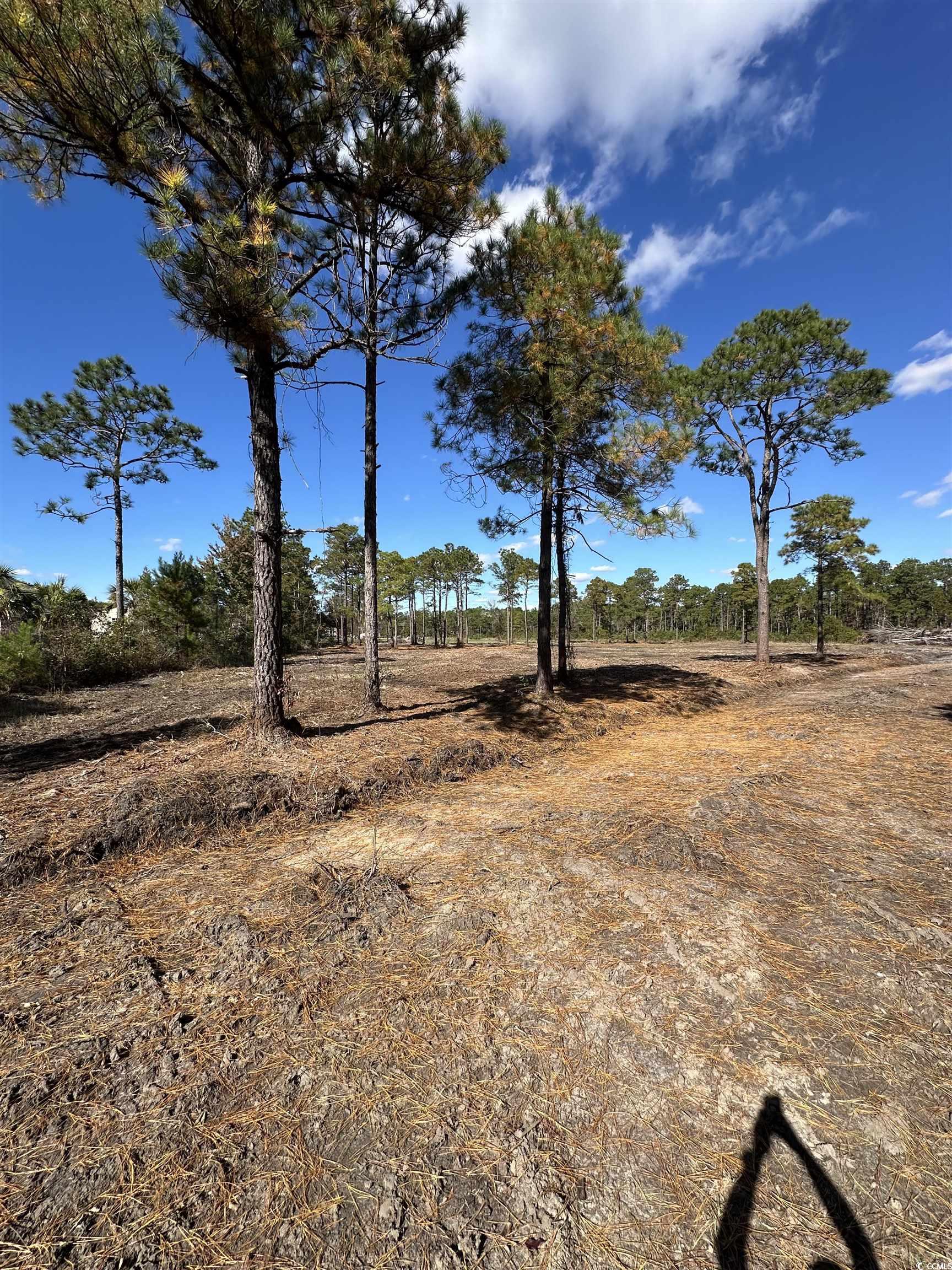 9201 Freewoods Rd. Property Photo 10