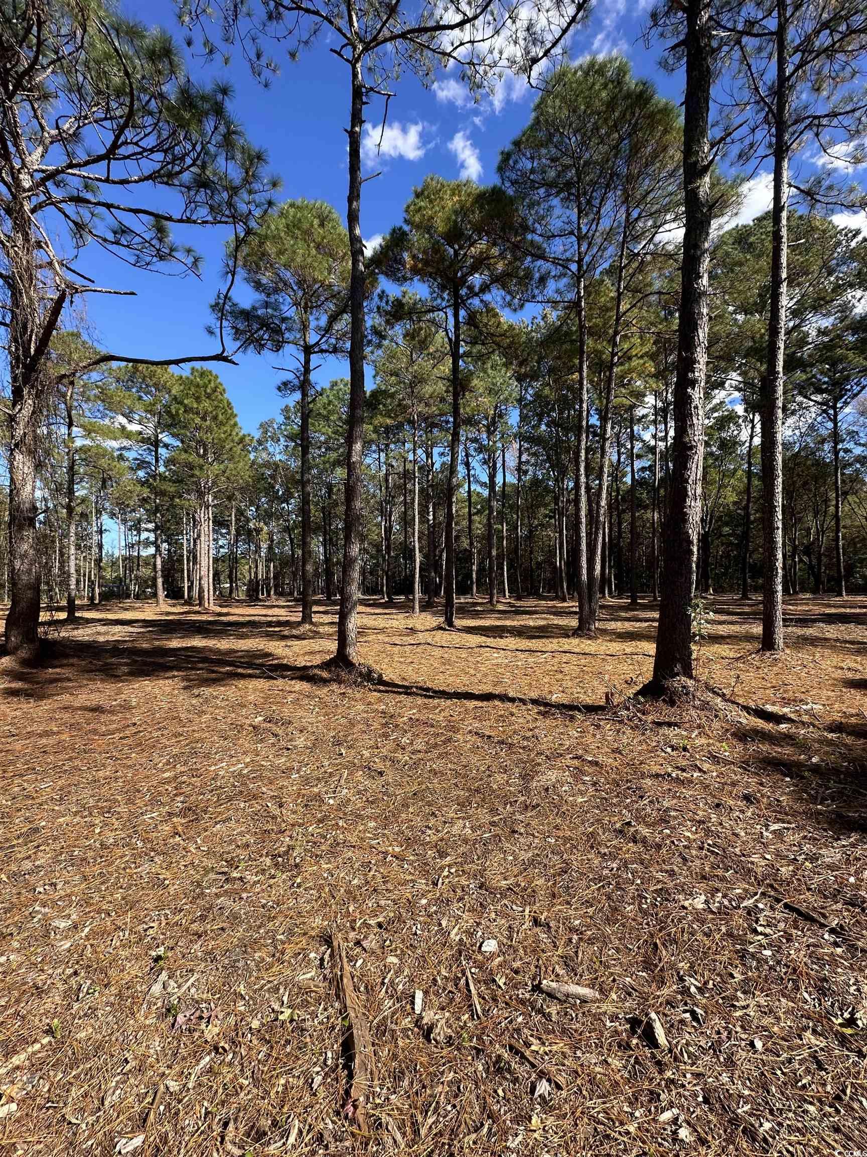 Tbd Highway 707 Property Photo 3