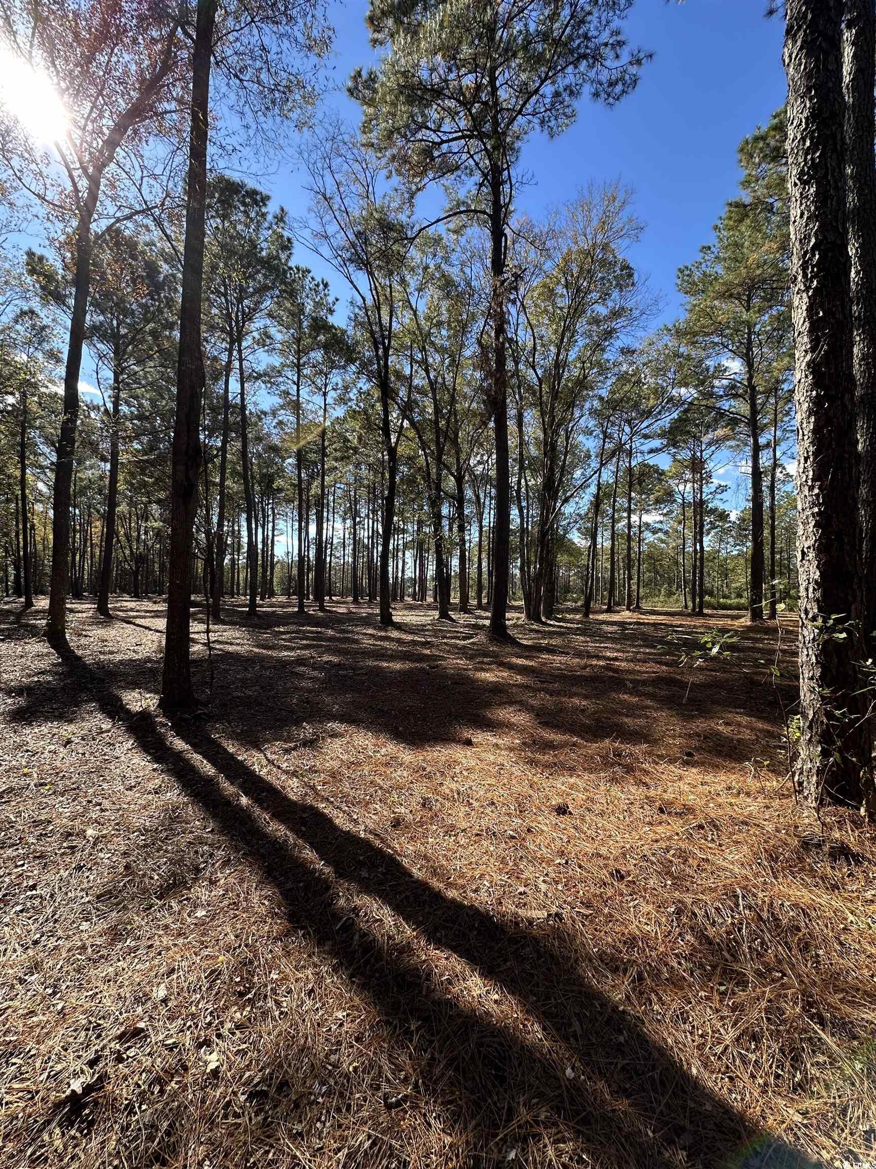 Tbd Highway 707 Property Photo 5