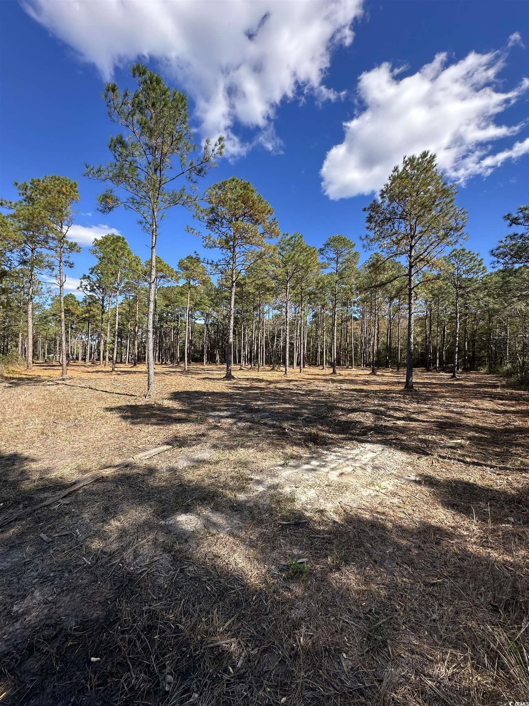 Tbd Highway 707 Property Photo 6