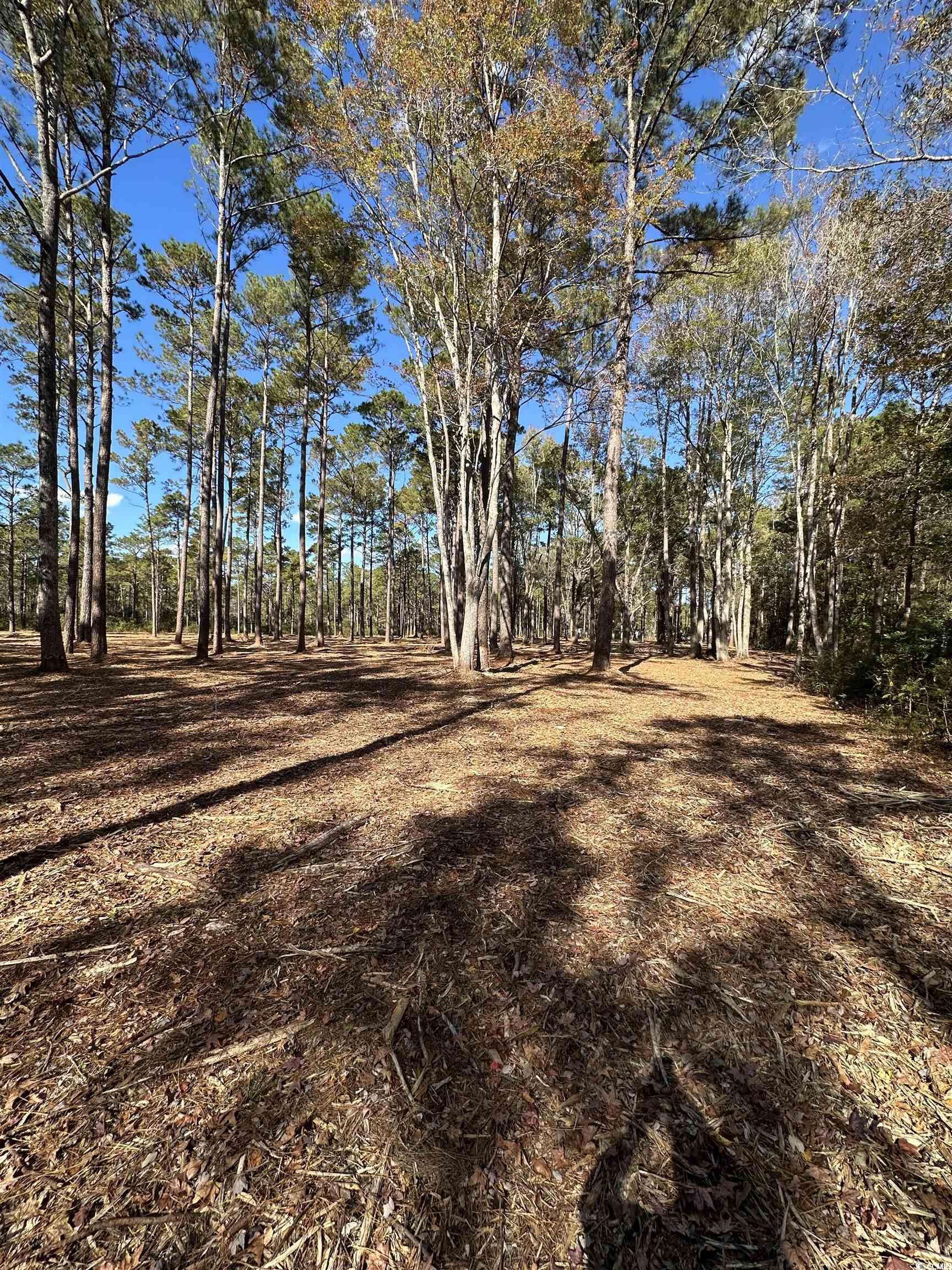 Tbd Highway 707 Property Photo 7