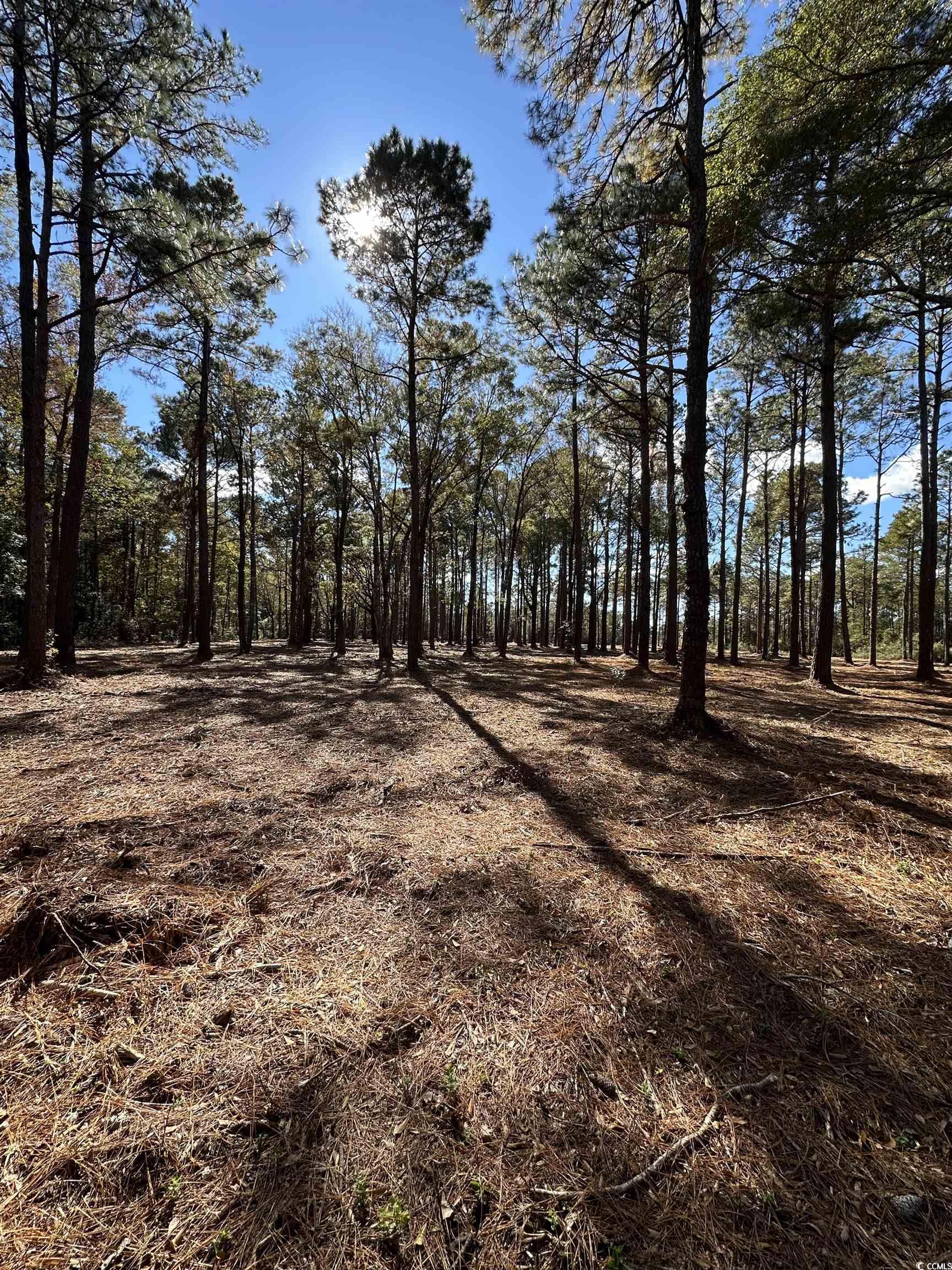Tbd Highway 707 Property Photo 9