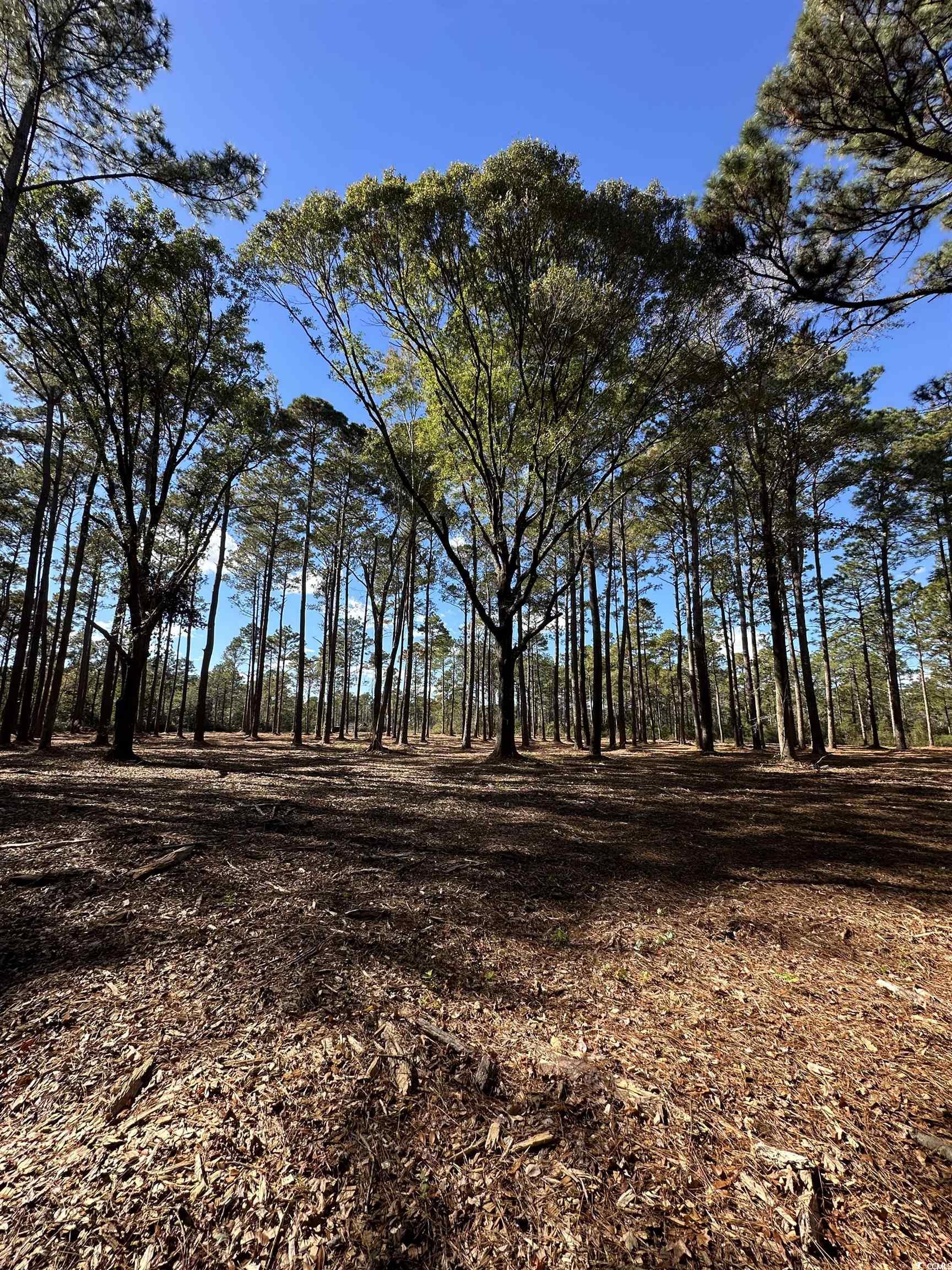 Tbd Highway 707 Property Photo 10