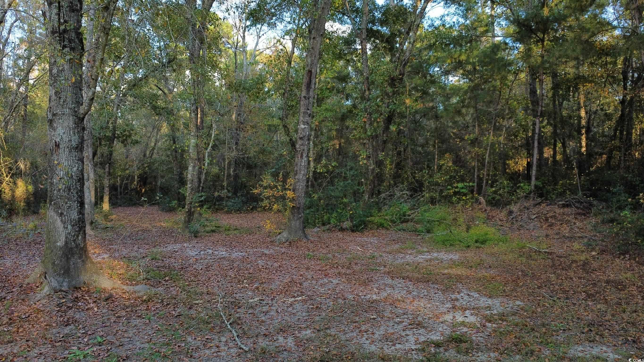 Tbd Salem Rd. Property Photo 2