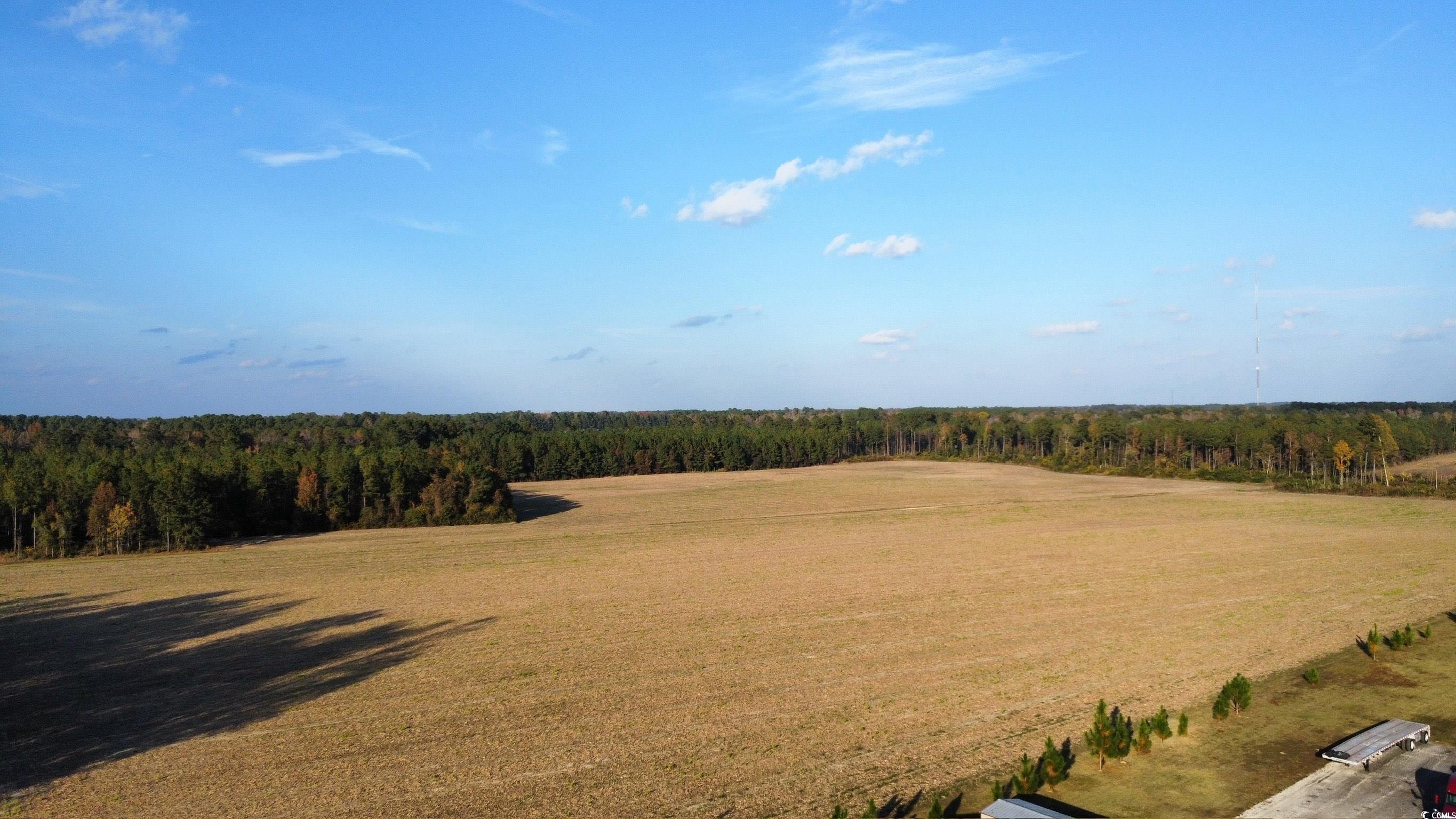 Tbd Salem Rd. Property Photo 8