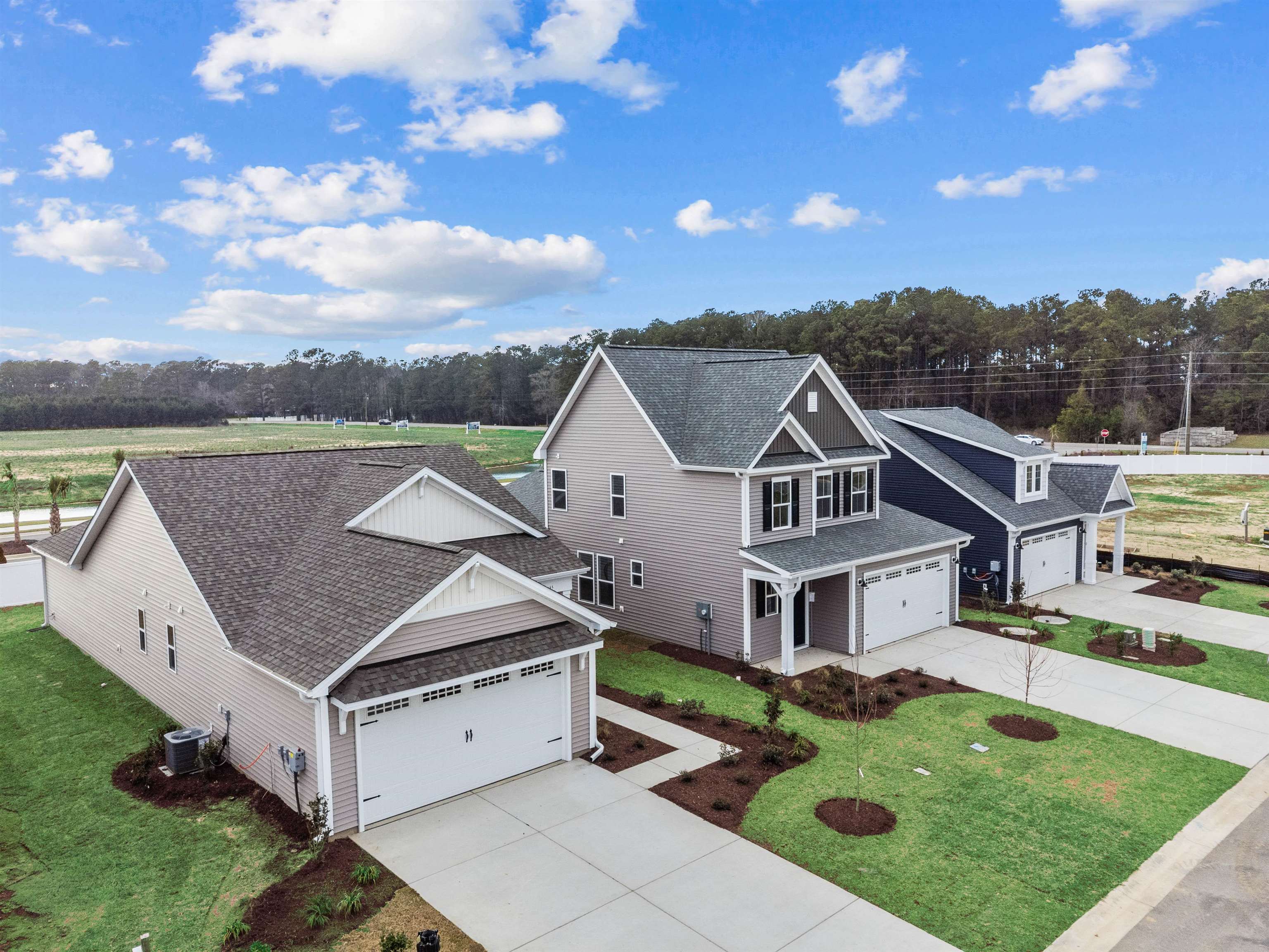3155 River Crane Loop Property Photo 4