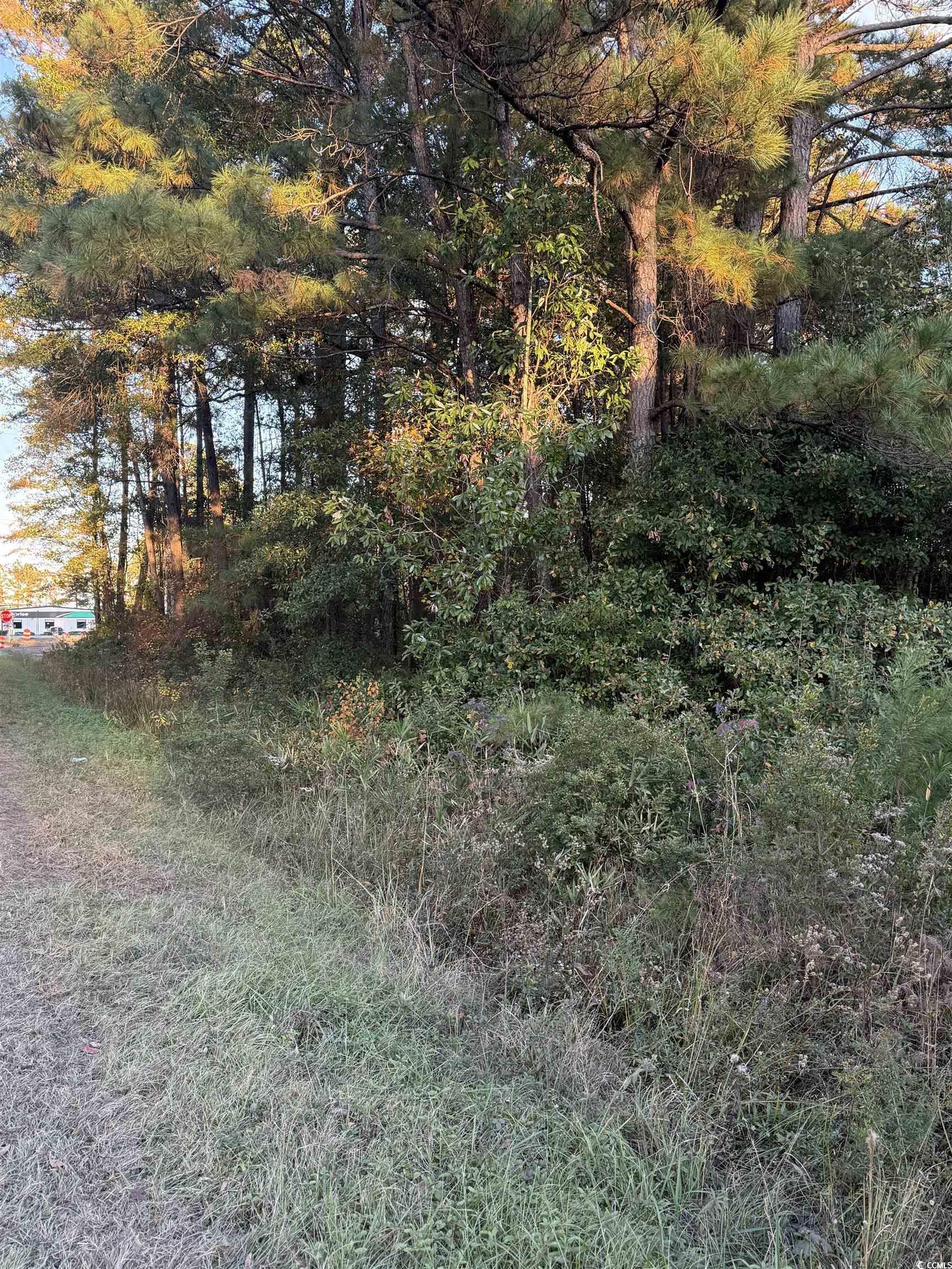 Lot 1 & 2 College Park Rd. Property Photo 6