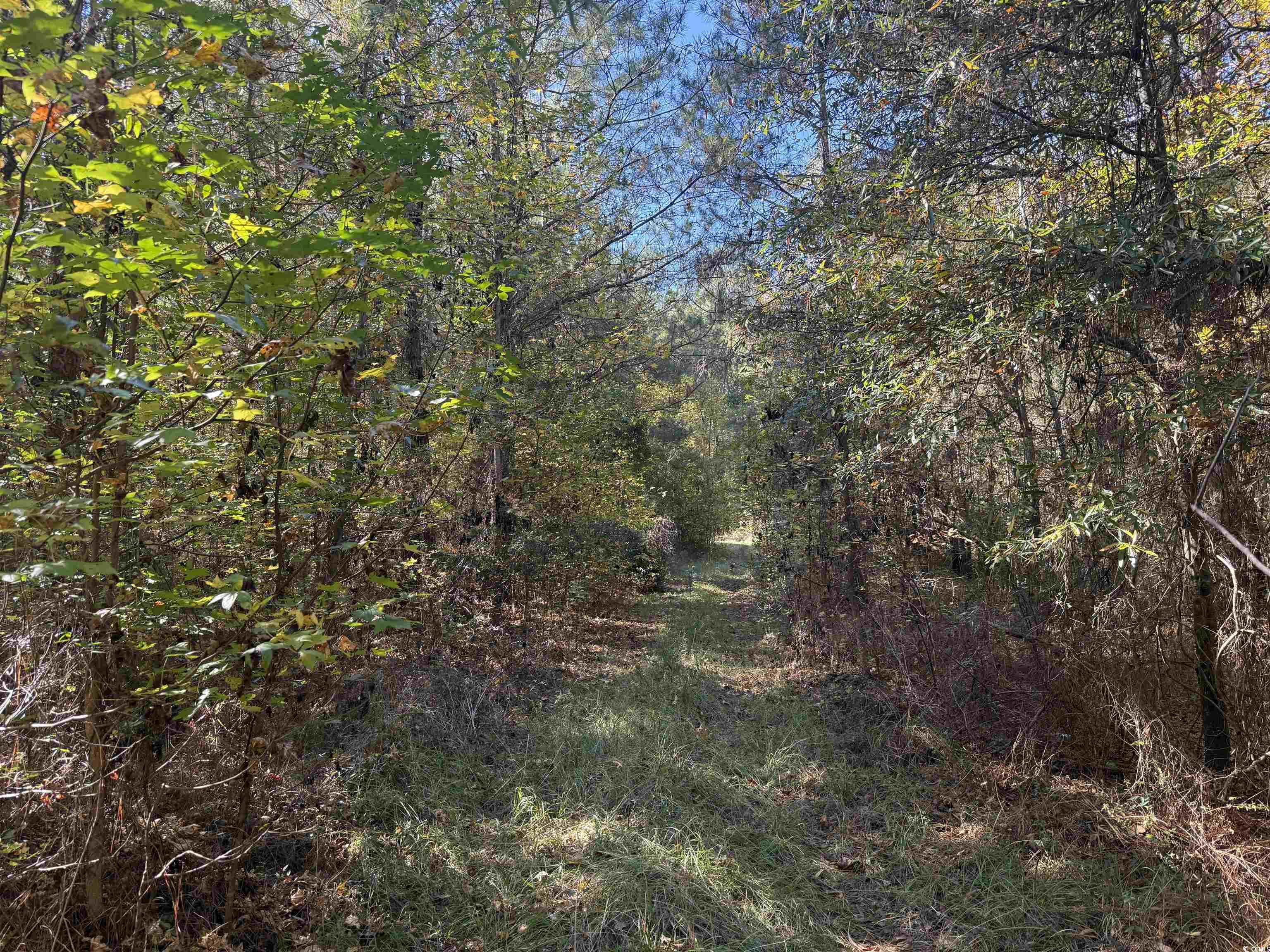 793 Puncheon Creek Dr. Property Photo 2