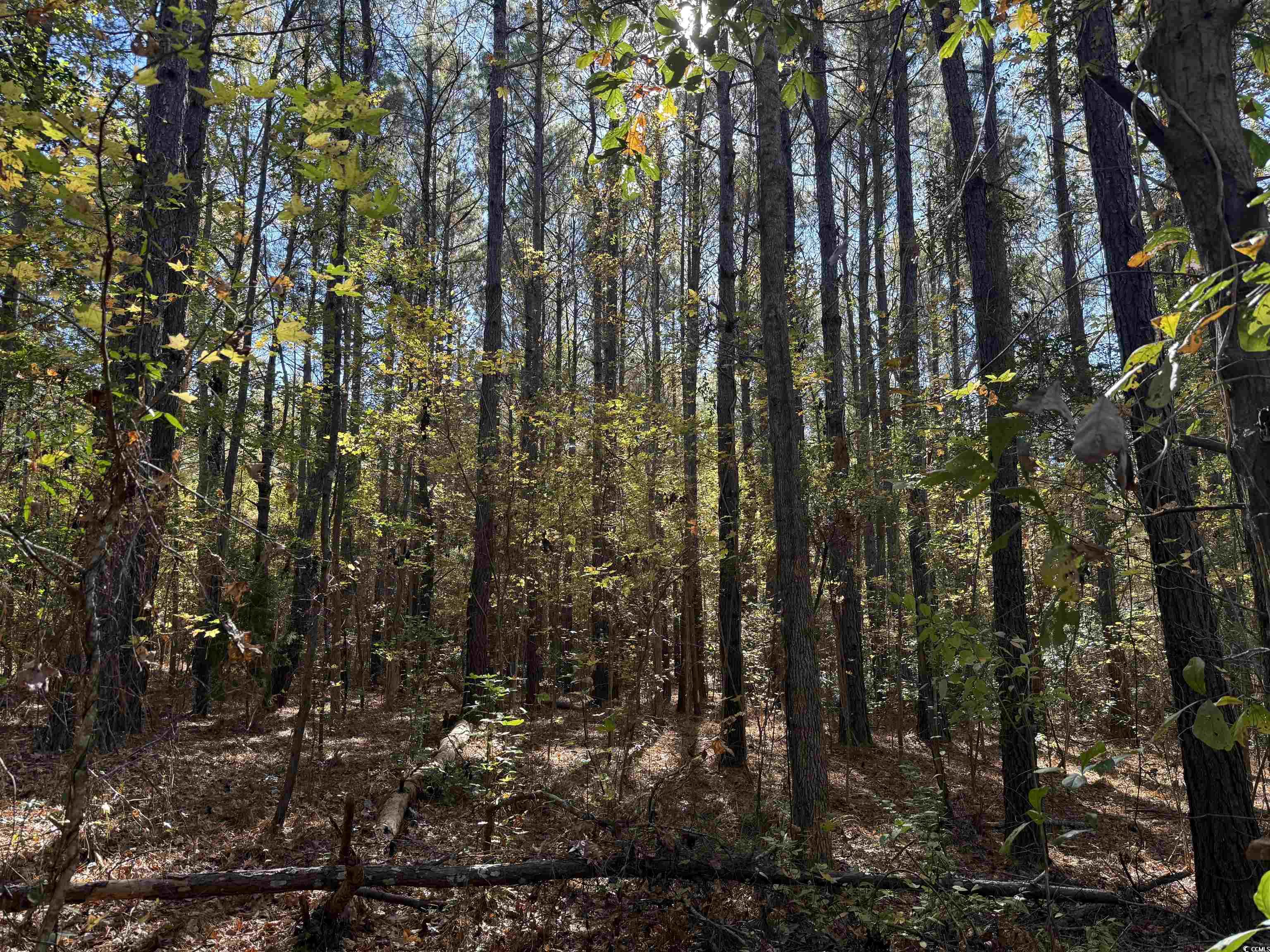 793 Puncheon Creek Dr. Property Photo 3