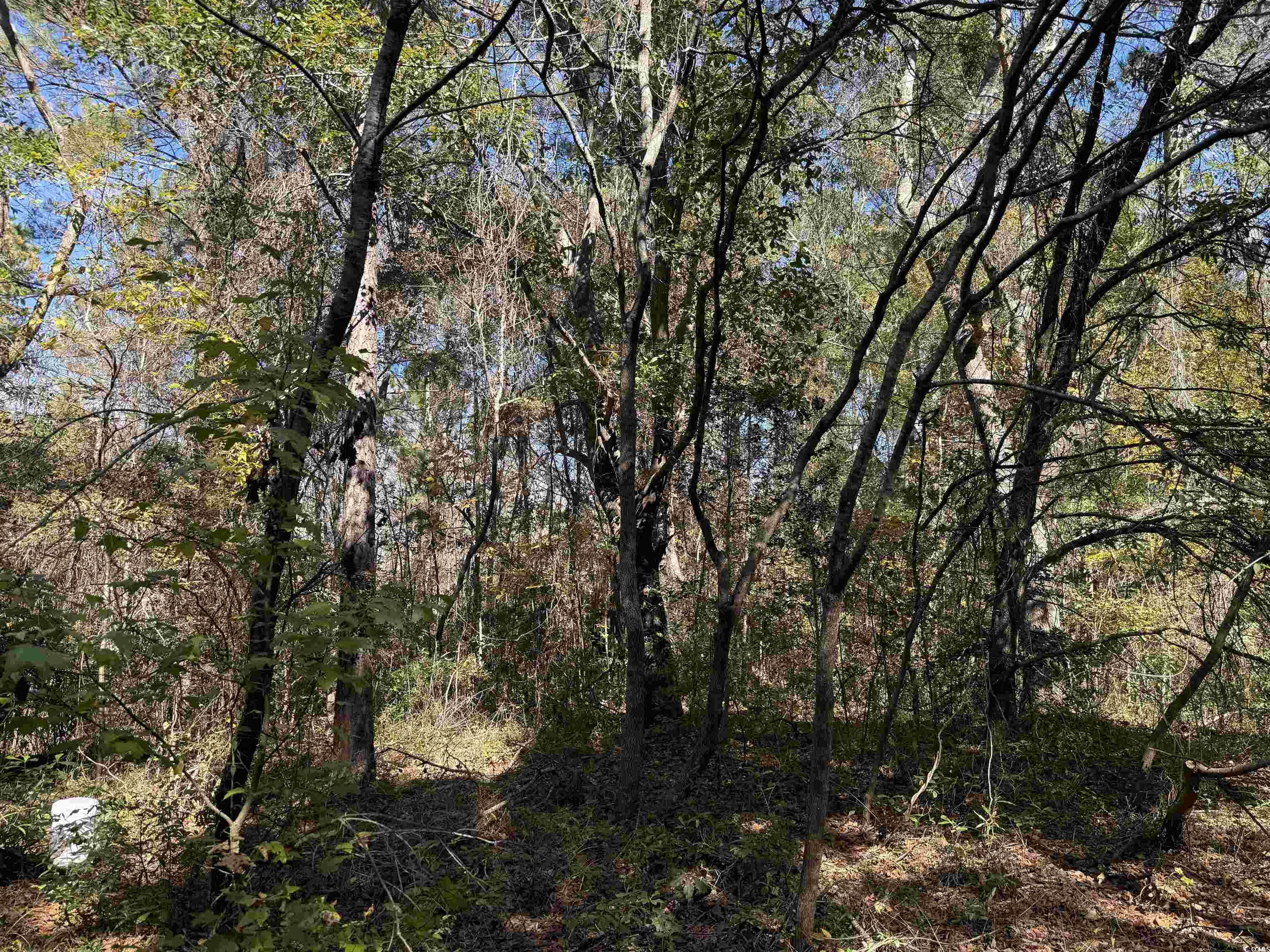 793 Puncheon Creek Dr. Property Photo 6