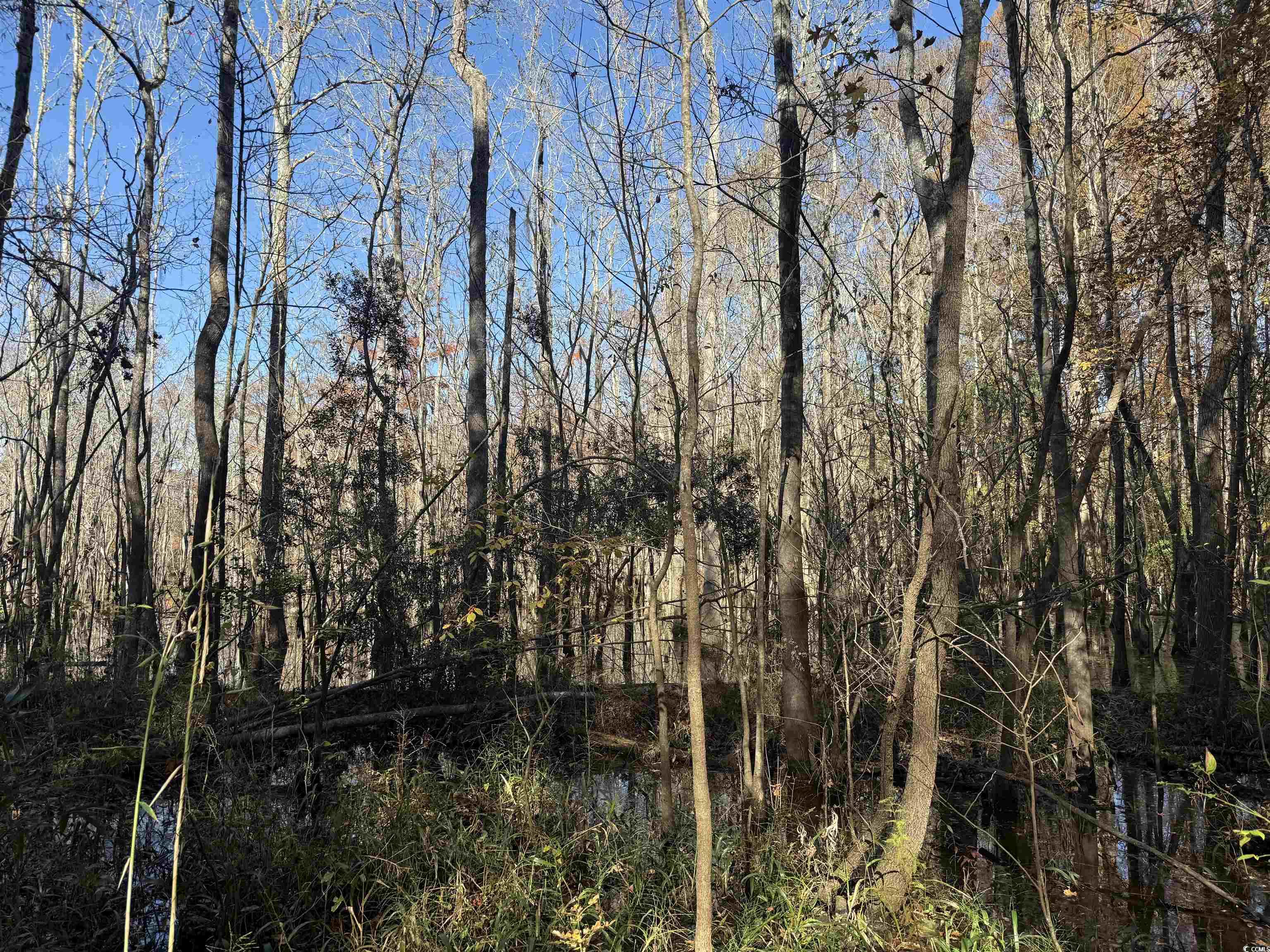 793 Puncheon Creek Dr. Property Photo 7