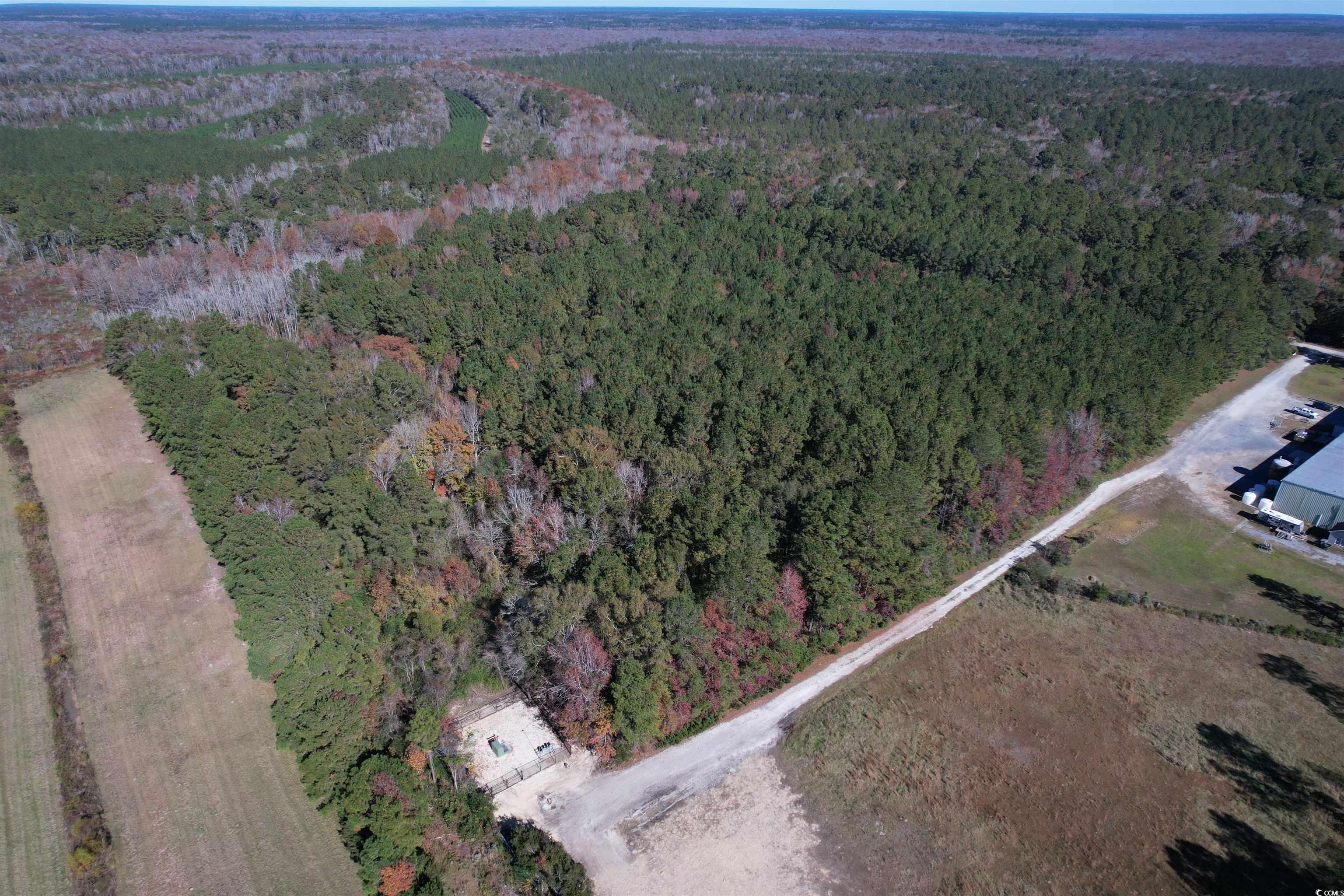 793 Puncheon Creek Dr. Property Photo 12