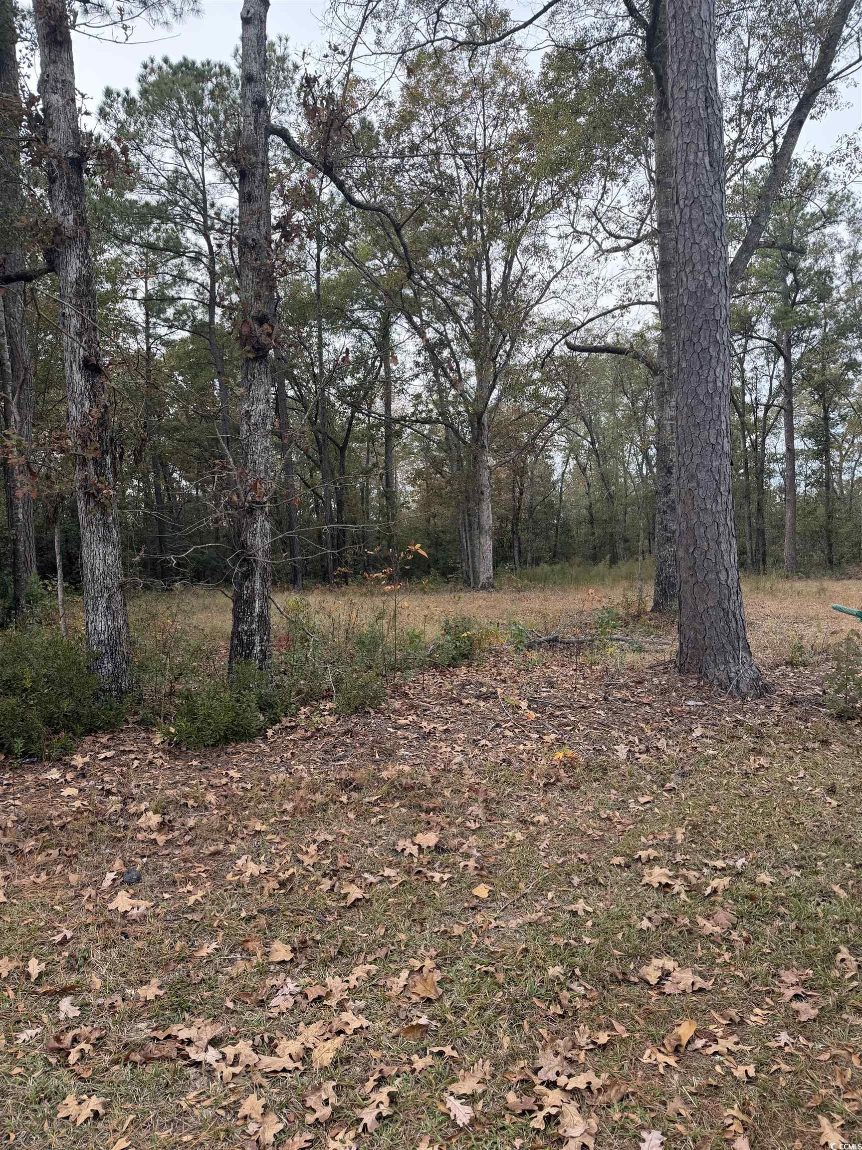335 Byrnes Circle Property Photo 1