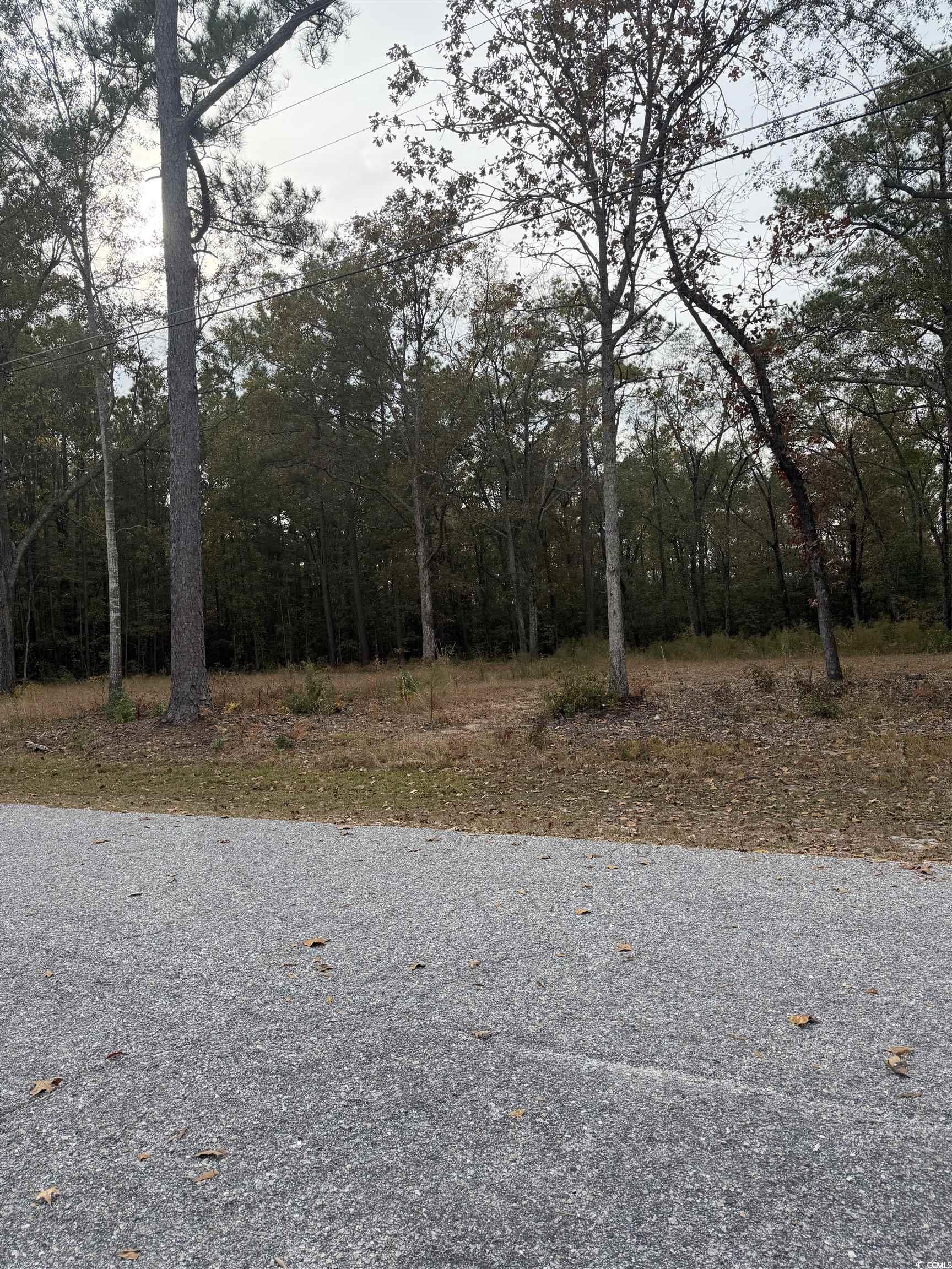 335 Byrnes Circle Property Photo 2