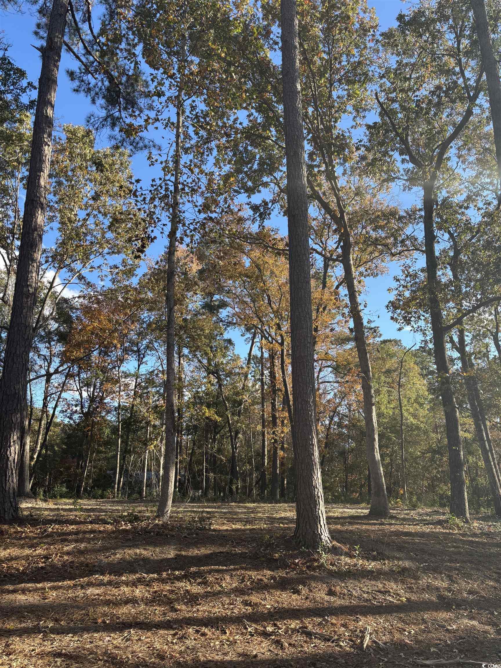 282 Pineneedle Circle Property Photo 1