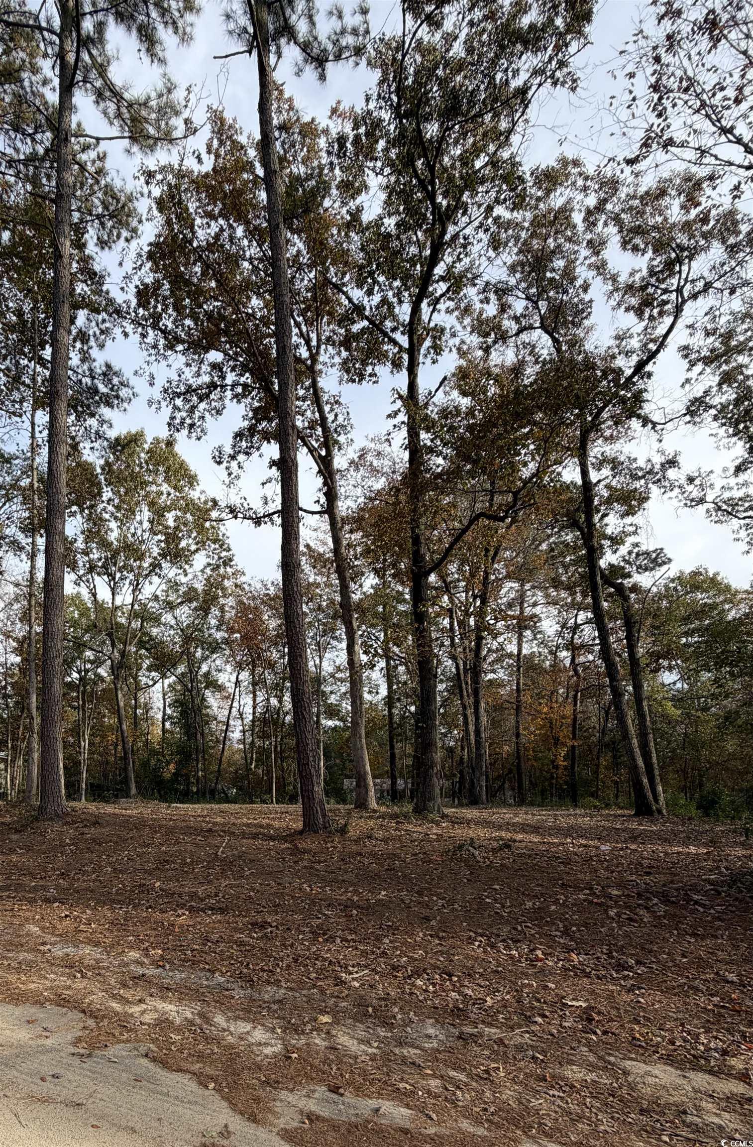 282 Pineneedle Circle Property Photo 2